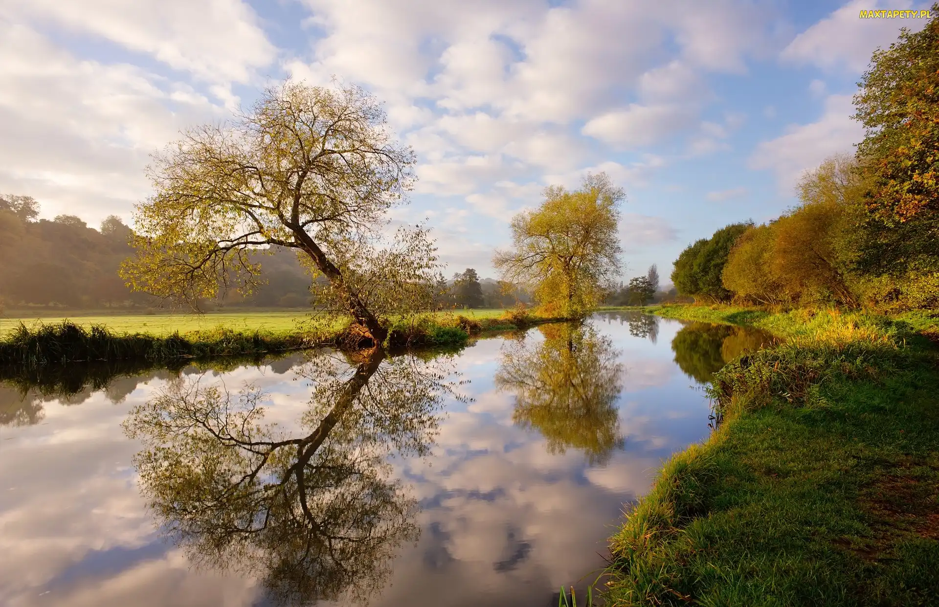 Odbicie, Drzewa, Anglia, Rzeka Wey