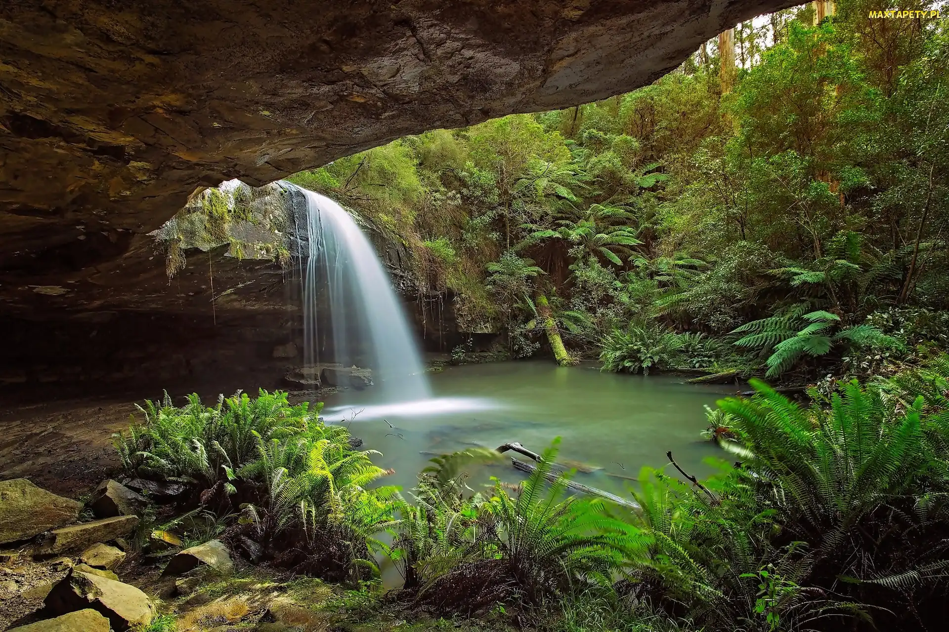 Australia, Skała, Wodospad Kalimna, Paprocie, Park Narodowy Great Otway