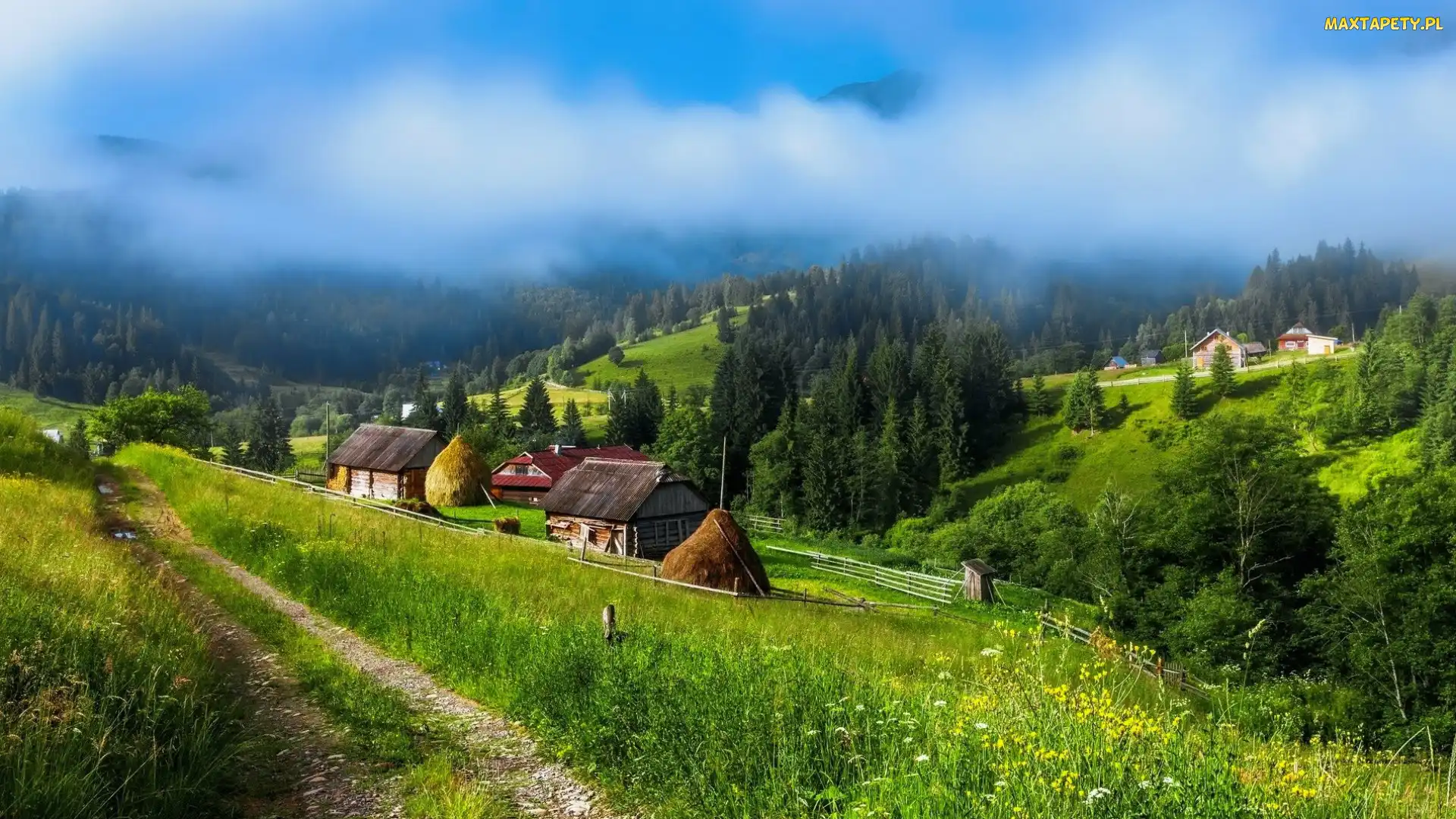 Ukraina, Wioska, Mgła, Droga, Góry Karpaty, Domy