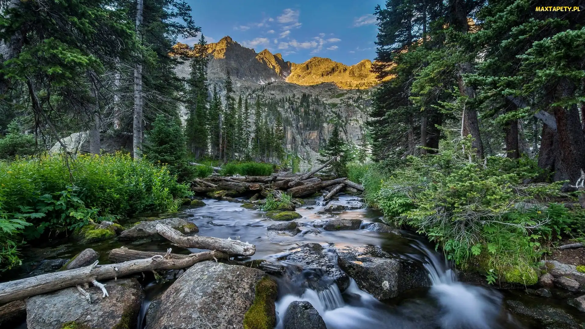Stan Kolorado, Drzewa, Stany Zjednoczone, Góry, Rzeczka, Indian Peaks Wilderness, Kamienie, Las