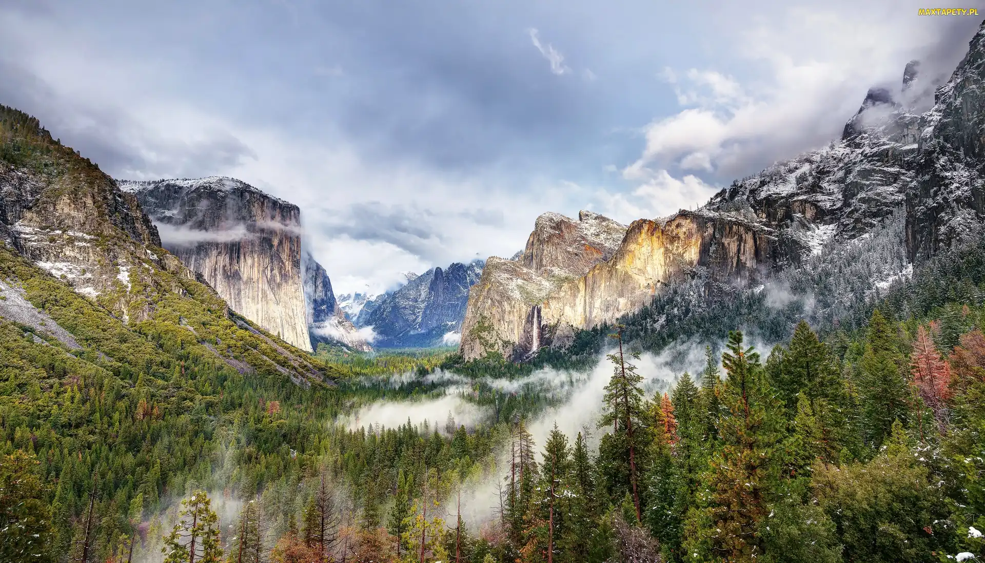 Las, Góry, Stan Kalifornia, Mgła, Dolina Yosemite Valley, Stany Zjednoczone, Park Narodowy Yosemite
