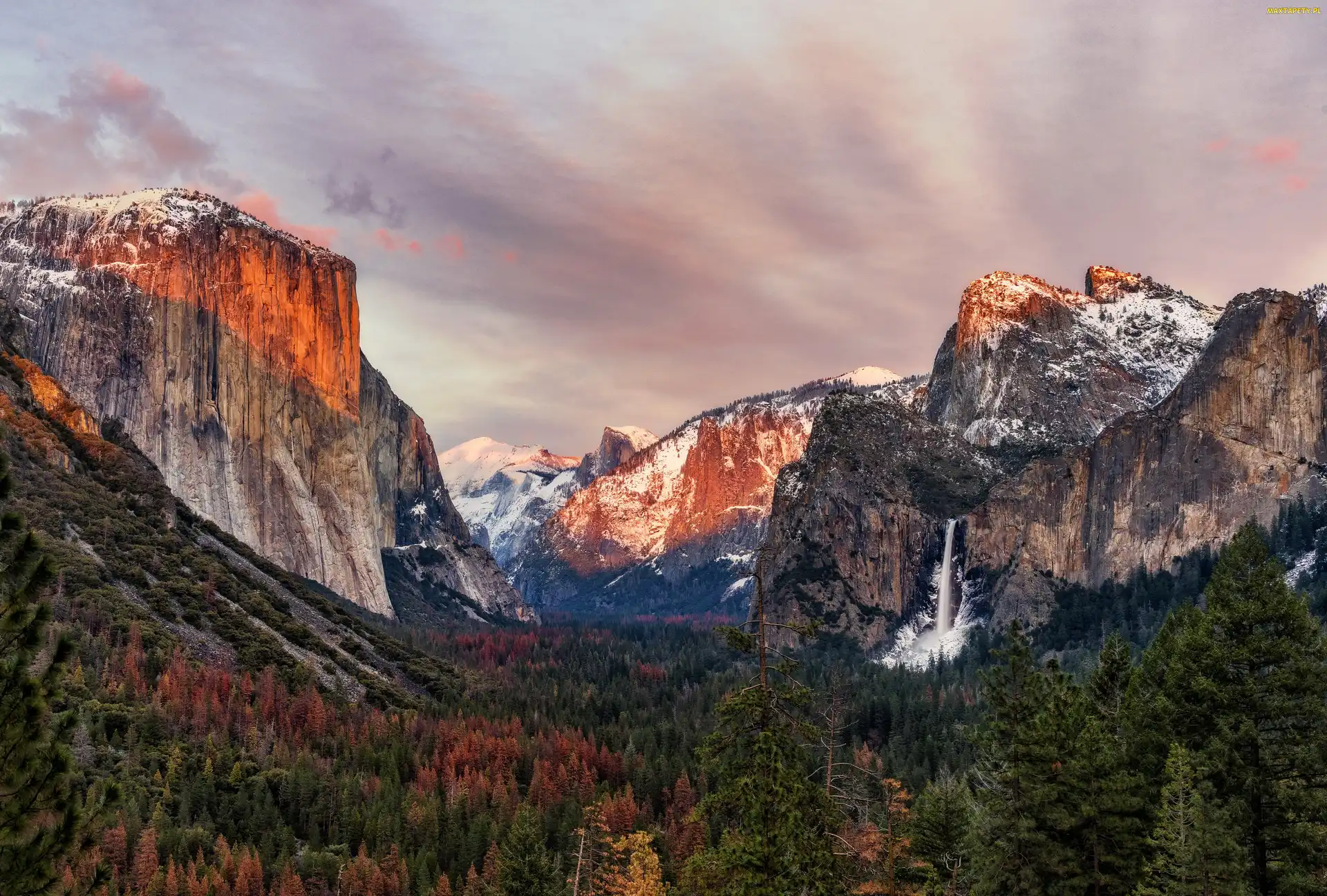 Drzewa, Las, Stan Kalifornia, Stany Zjednoczone, Park Narodowy Yosemite, Góry