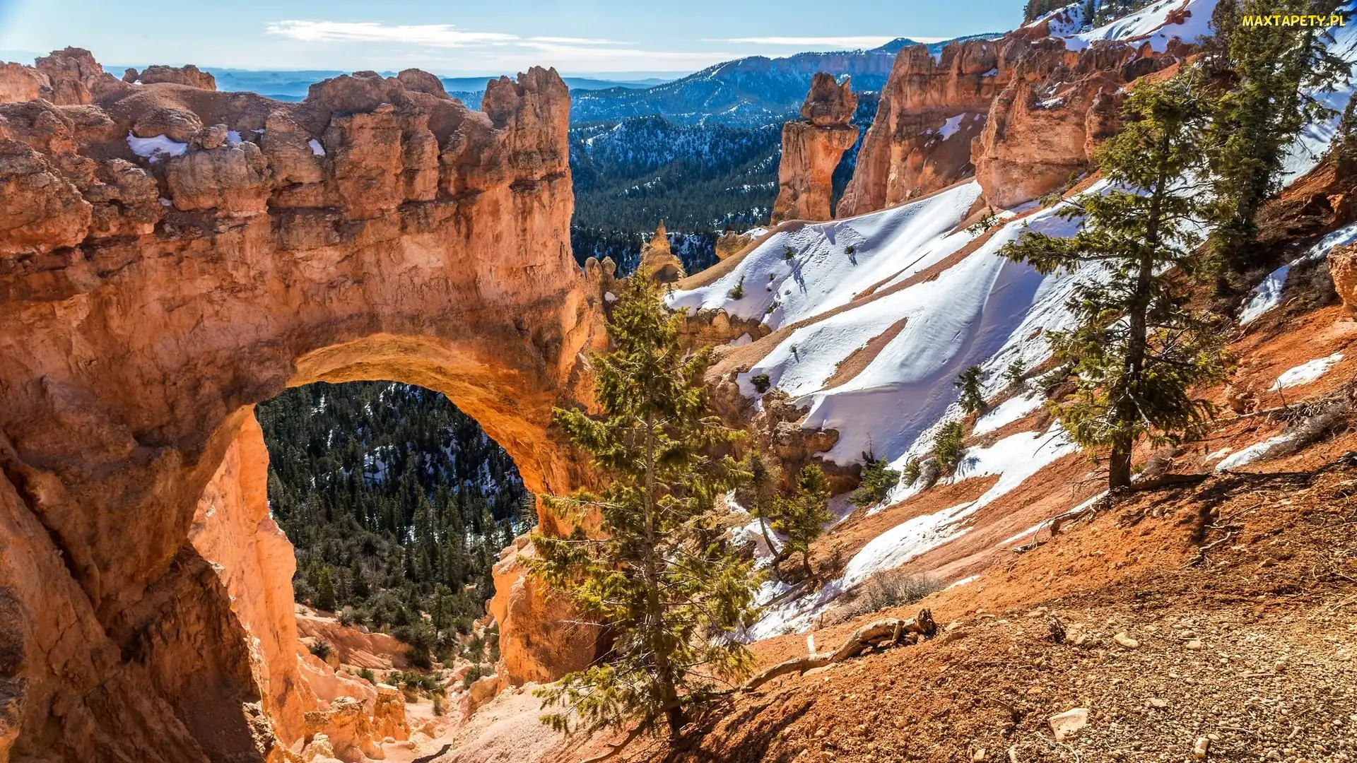Stan Utah, Góry, Stany Zjednoczone, Kanion, Łuk Natural Bridge, Park Narodowy Bryce Canyon, Skały, Drzewa