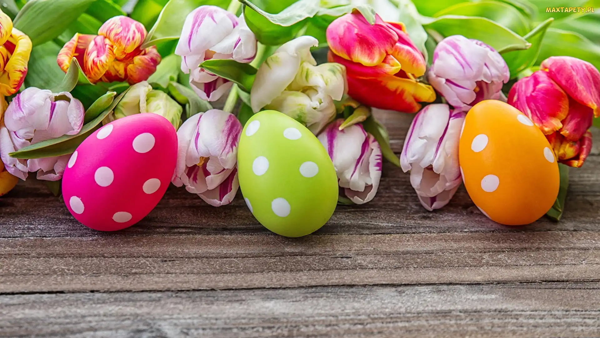 Kompozycja, Pisanki, Tulipany, Wielkanoc