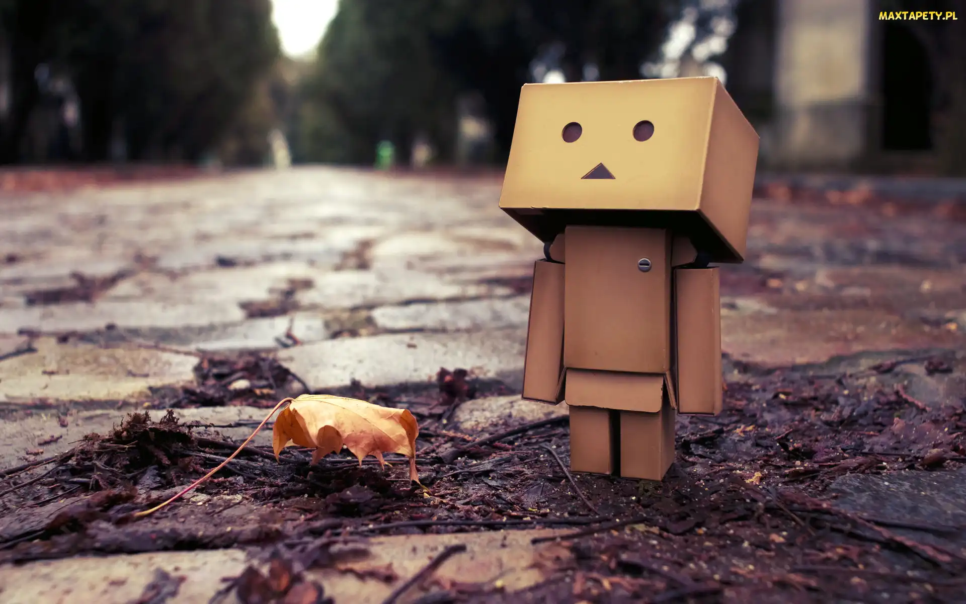 Kartonowy, Liść, Danbo, Ludzik