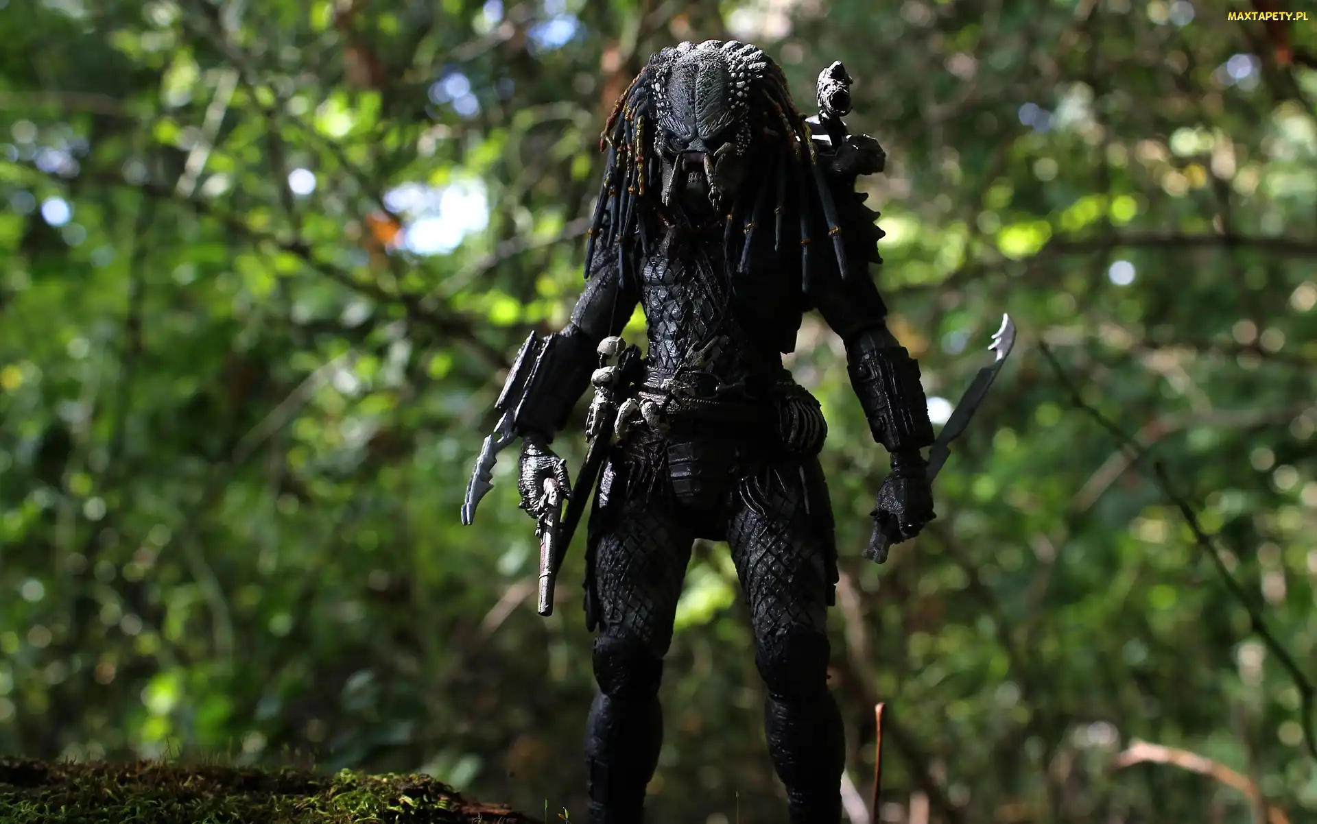 Las, Figurka, Predator, Obcy