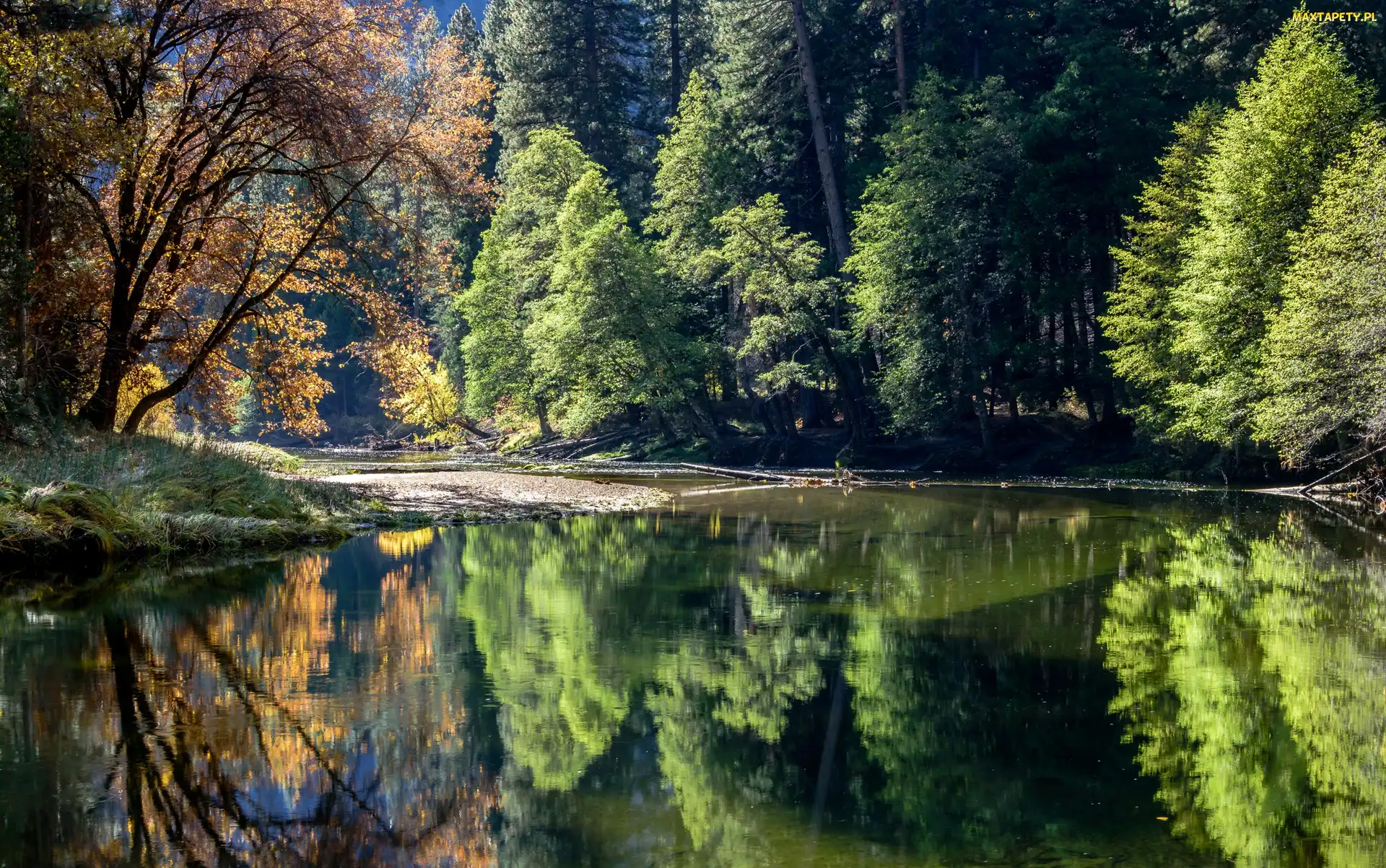 Odbicie, Las, Stan Kalifornia, Drzewa, Rzeka, Stany Zjednoczone, Park Narodowy Yosemite