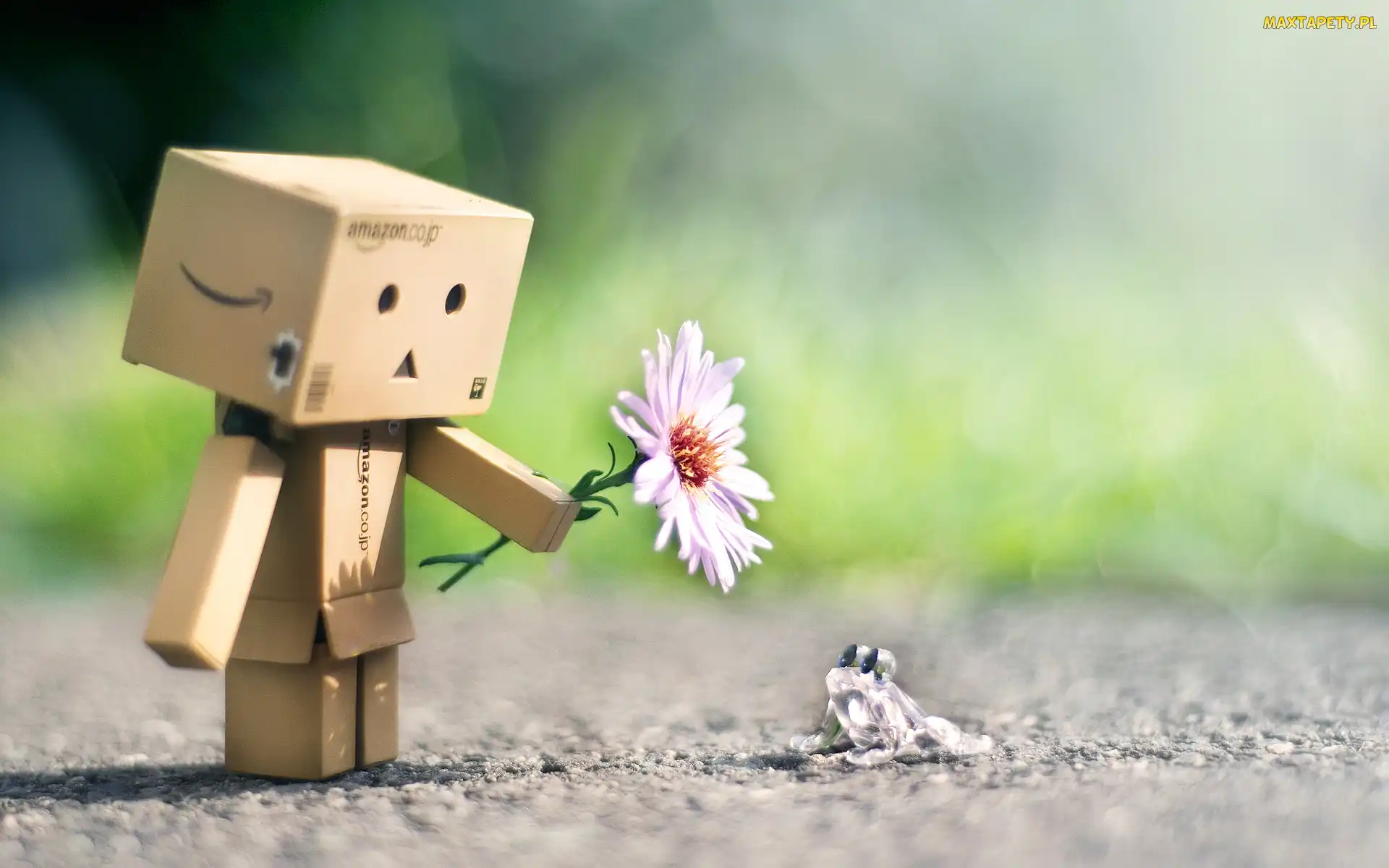 Kartonowy, Kwiat, Żaba, Ludzik, Danbo