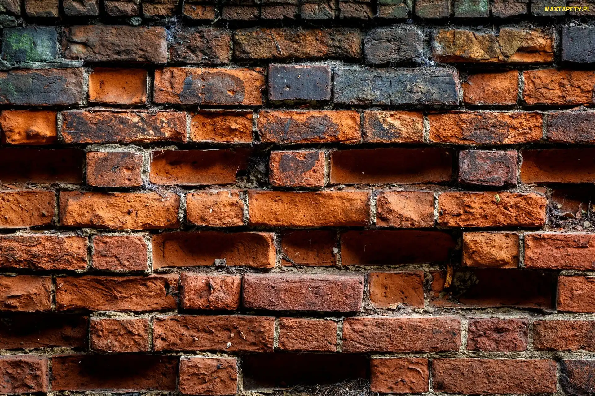 Mur, Cegły, Tekstury