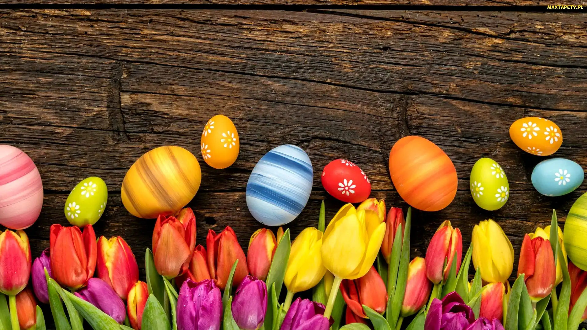 Tulipany, Pisanki, Wielkanoc, Dekoracja