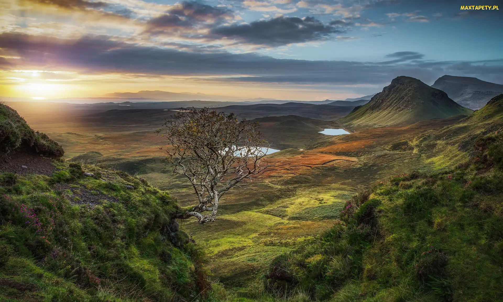 Quiraing, Wschód słońca, Drzewo, Wzgórza, Szkocja