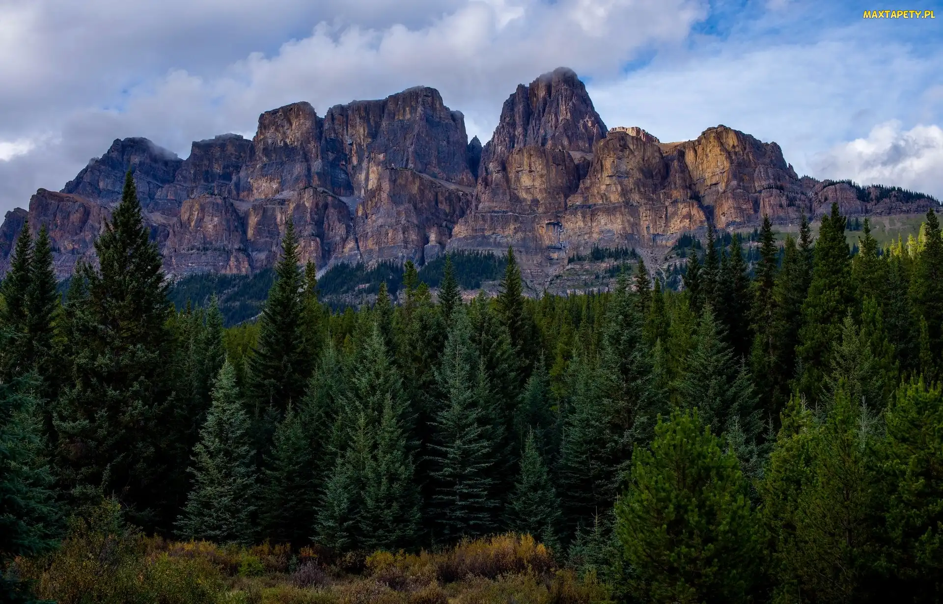Drzewa, Las, Park Narodowy Banff, Kanada, Góry, Góra Castle Mountain