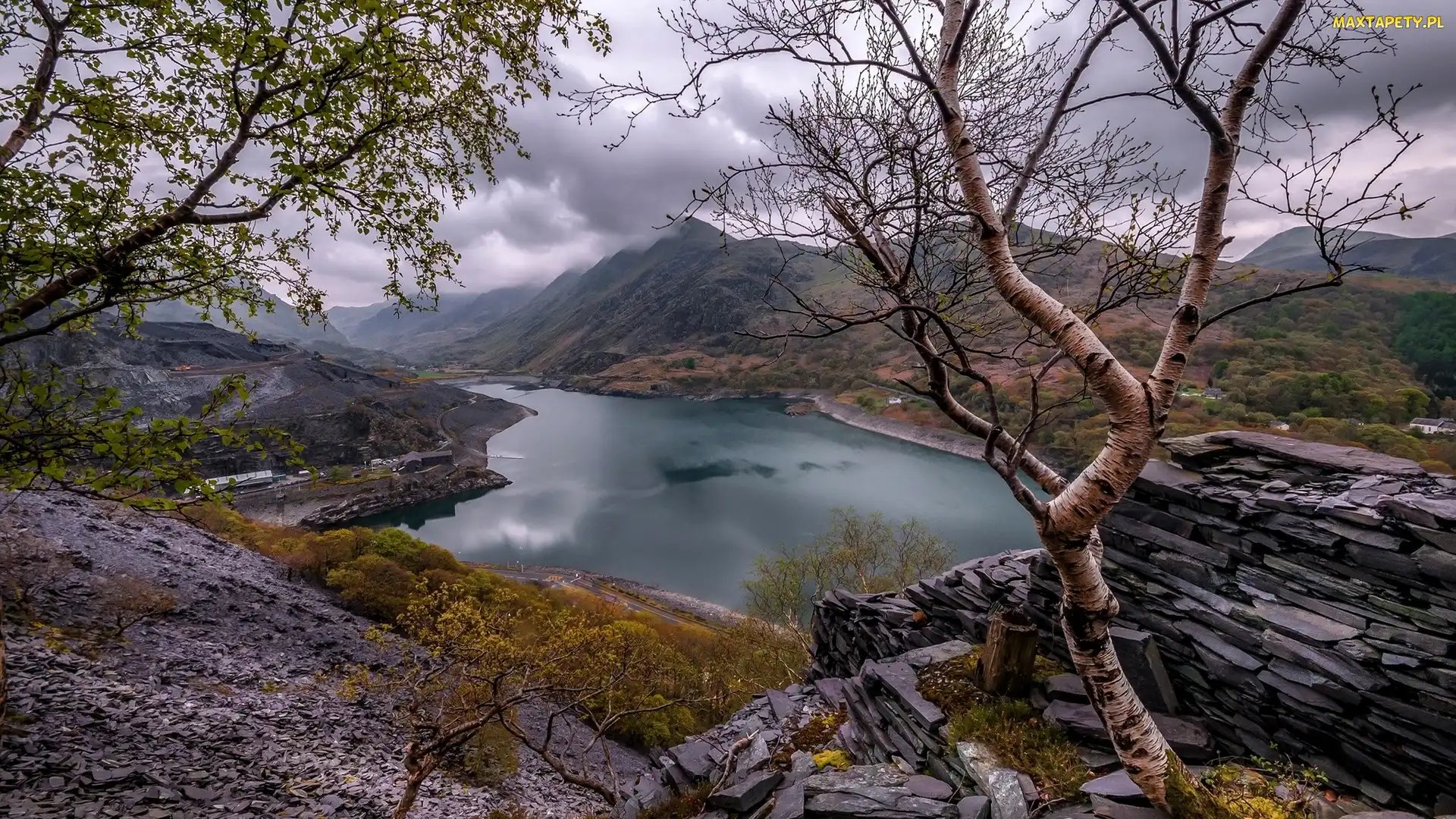 Skały, Drzewa, Park Narodowy Snowdonia, Walia, Góry, Jezioro Llyn Peris