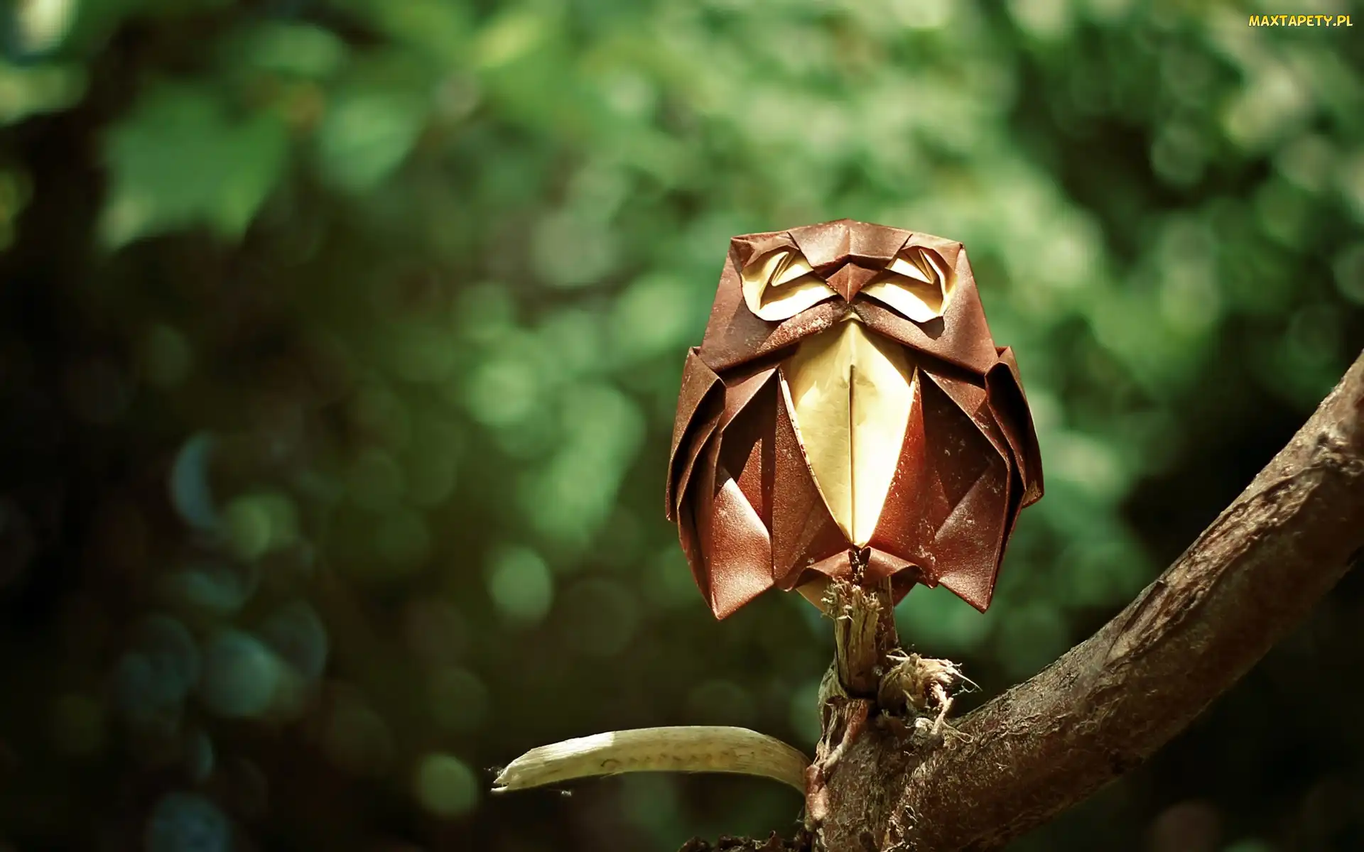 Origami, Gałąź, Sowa