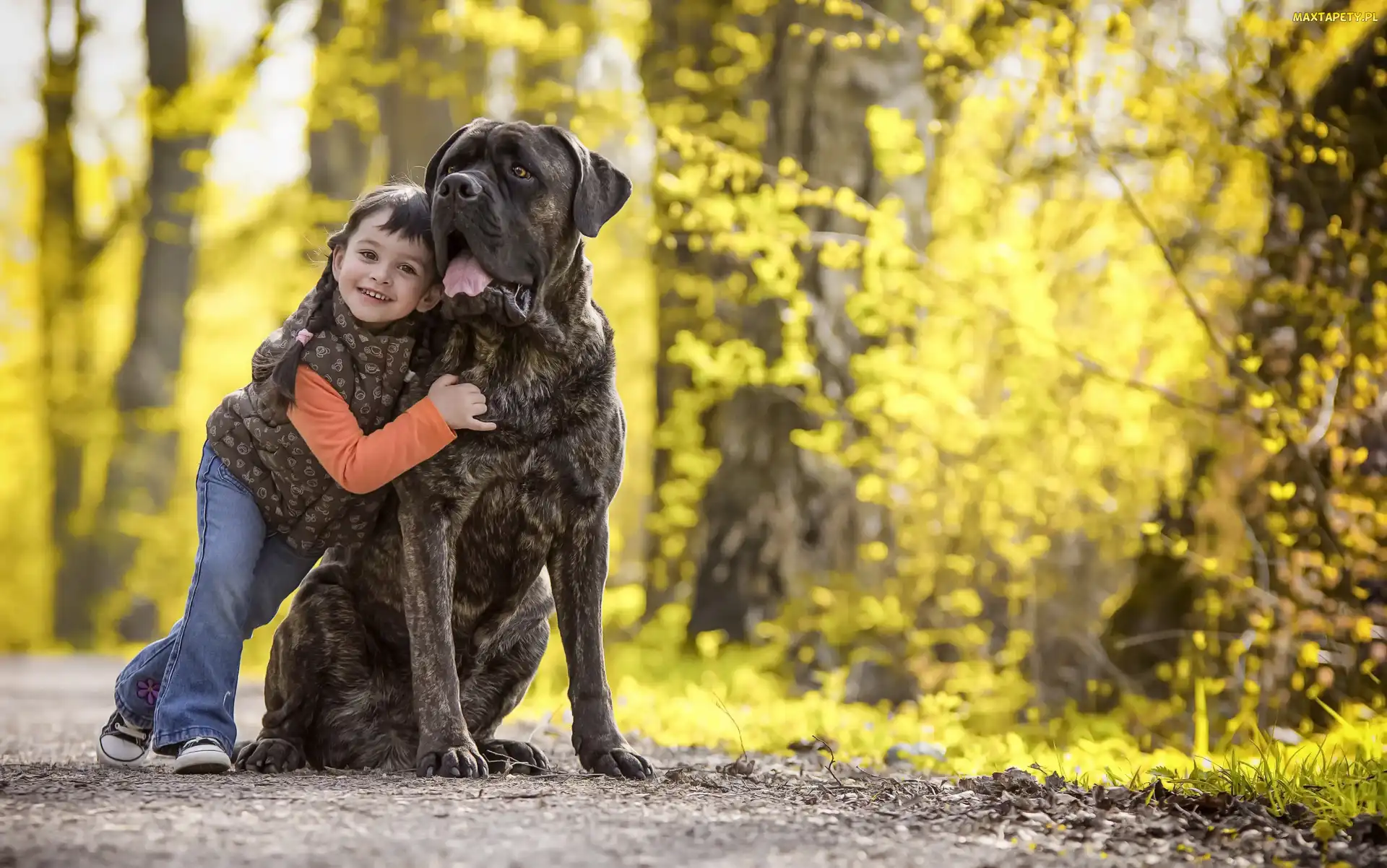 Alejka, Bullmastiff, Dziewczynka, Dziecko, Pies, Pręgowany