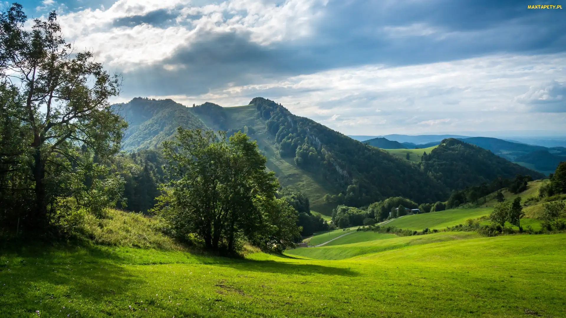 Łąki, Drzewa, Góry
