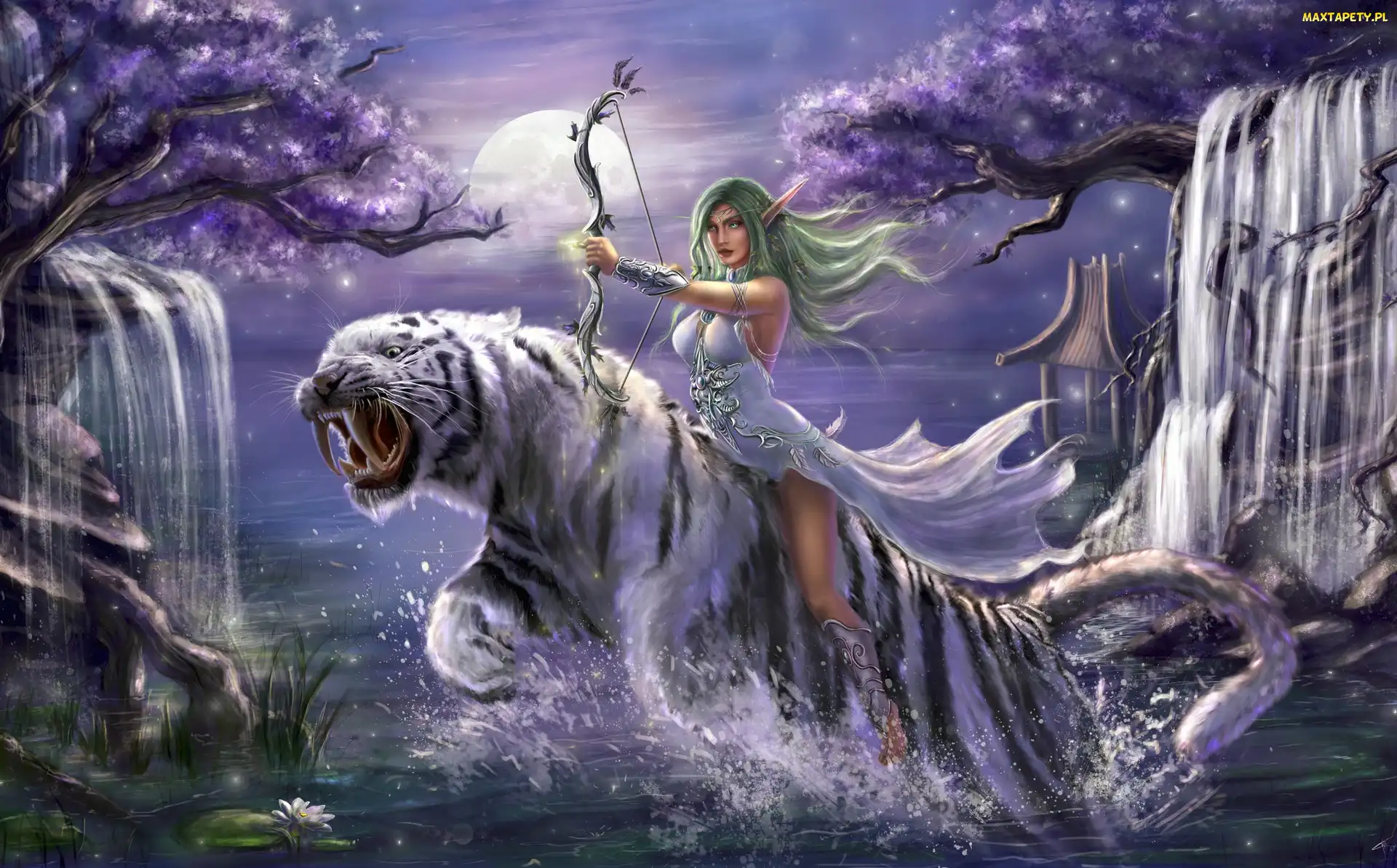 Elf, Tygrys, World Of Warcraft, Tyrande Whisperwind, Wodospad, Gra, Kapłanka