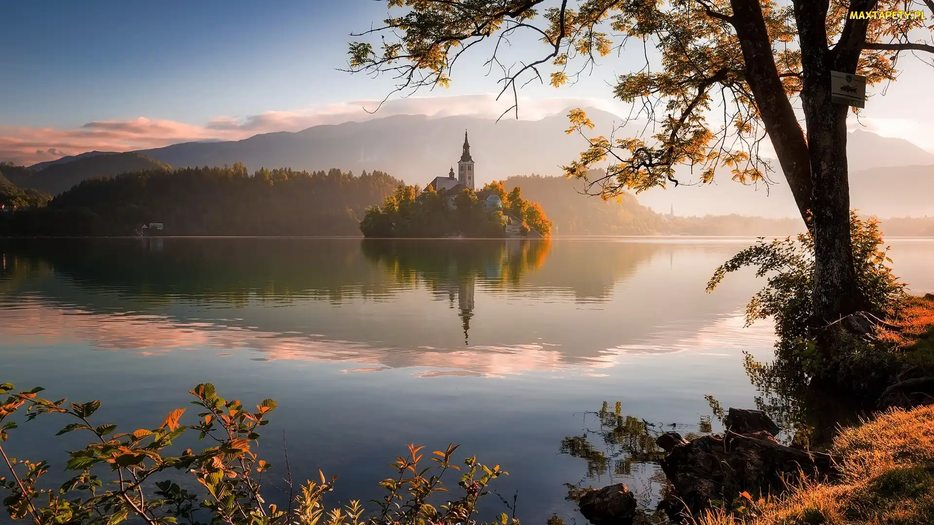Mgła, Góry, Wyspa Blejski Otok, Drzewo, Kościół, Słowenia, Jezioro Bled