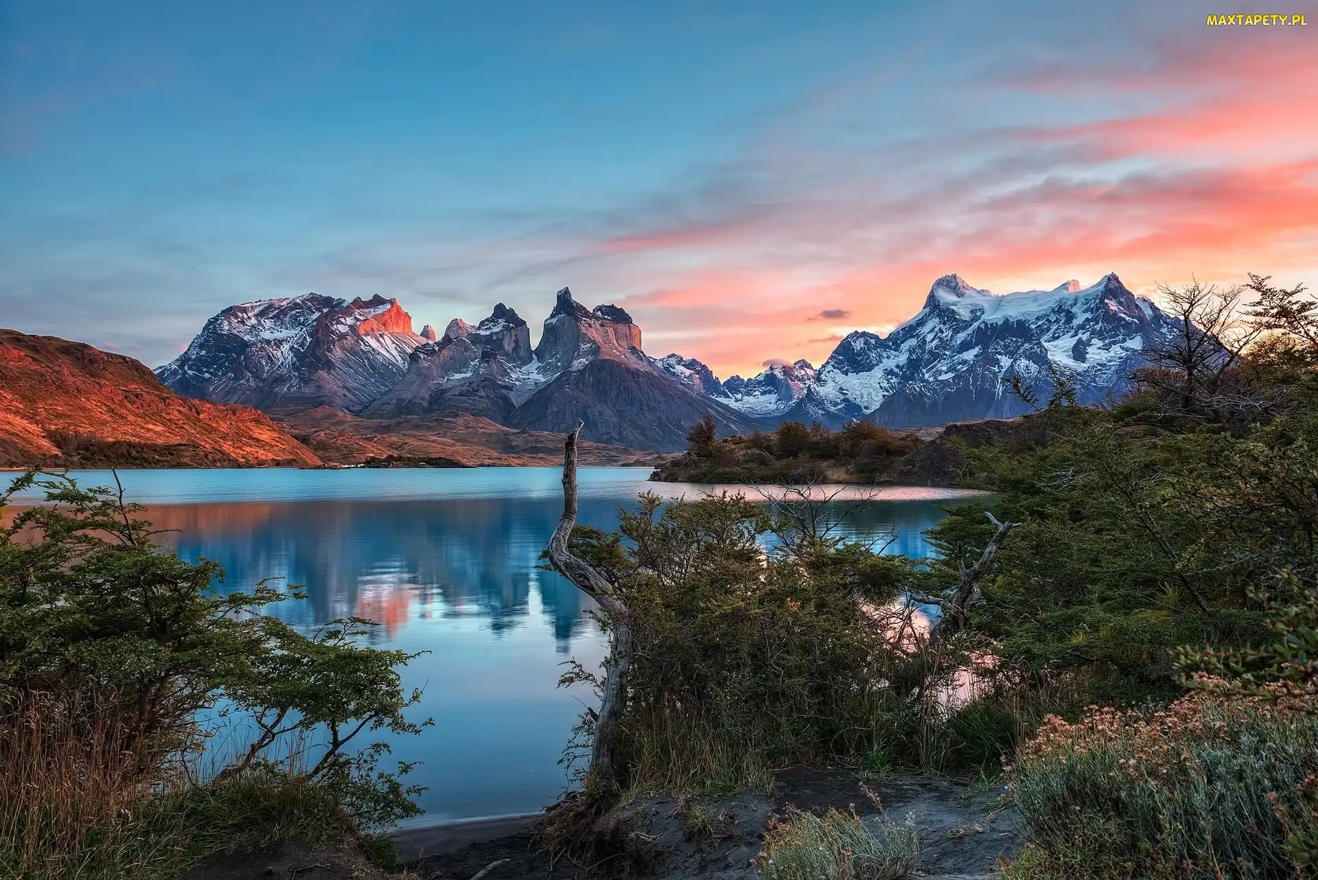 Chile, Krzewy, Jezioro, Park Narodowy Torres del Paine, Zachód słońca, Szczyty, Patagonia, Góry Torres del Paine, Ośnieżone