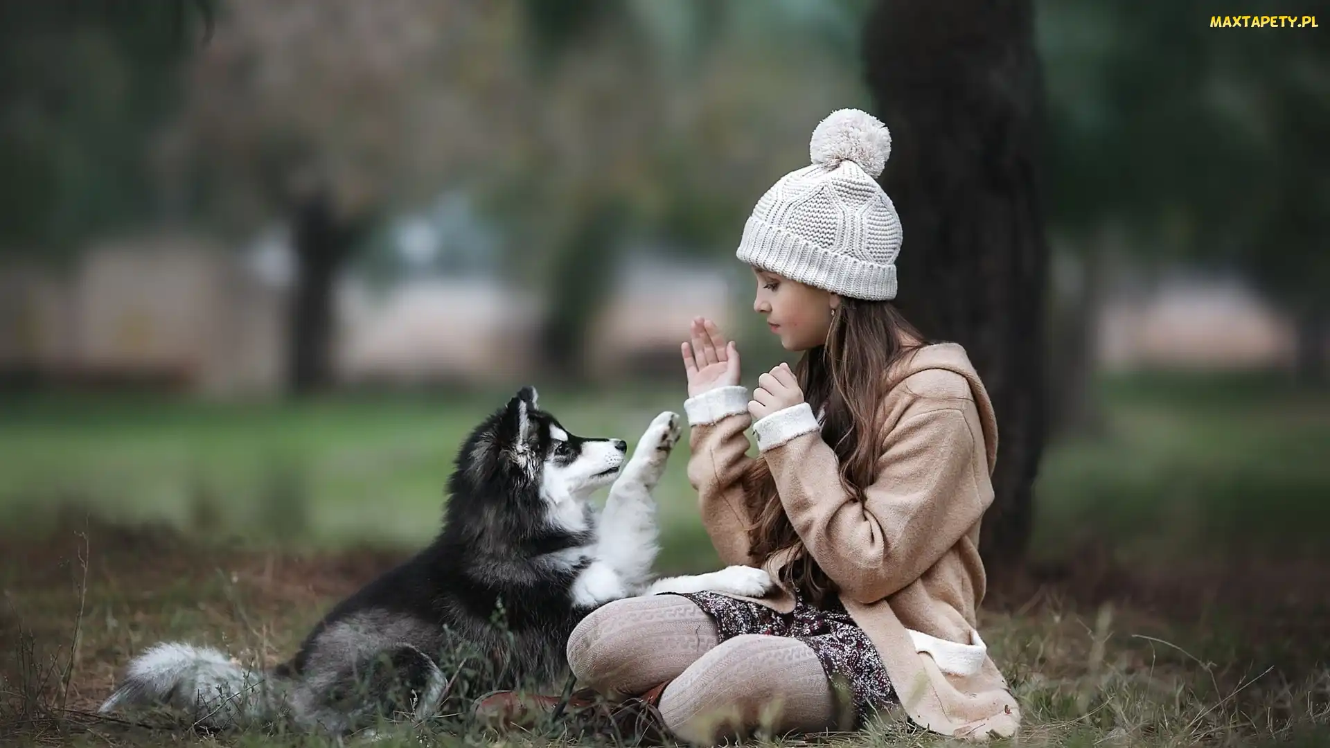 Dziewczynka, Husky, Szczeniak, Pies