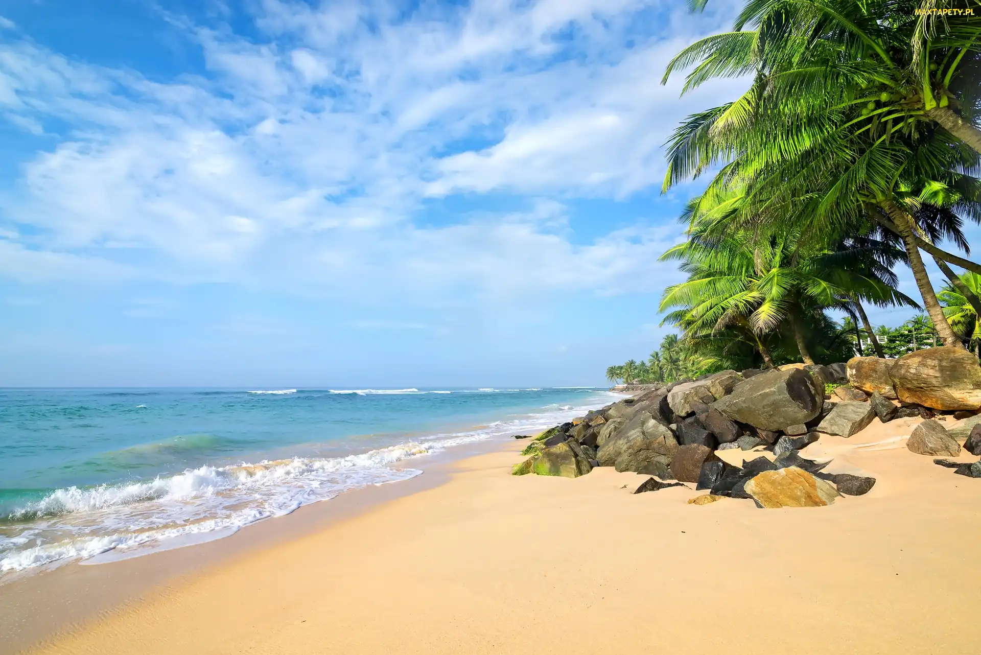 Sri Lanka, Palmy, Plaża, Kamienie, Morze