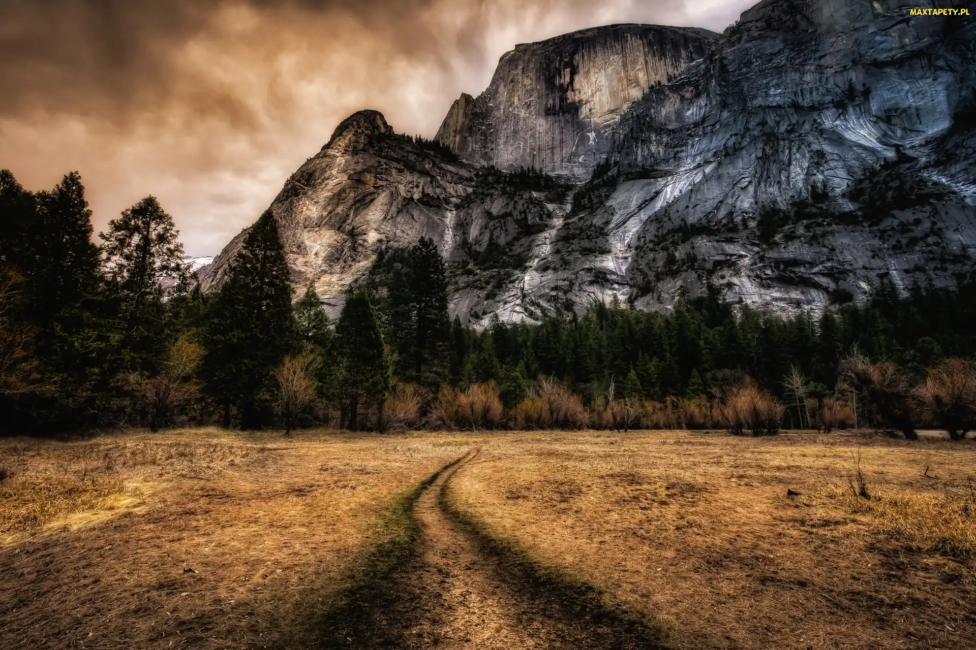 Drzewa, Ścieżka, Stan Kalifornia, Stany Zjednoczone, Park Narodowy Yosemite, Góry Half Dome