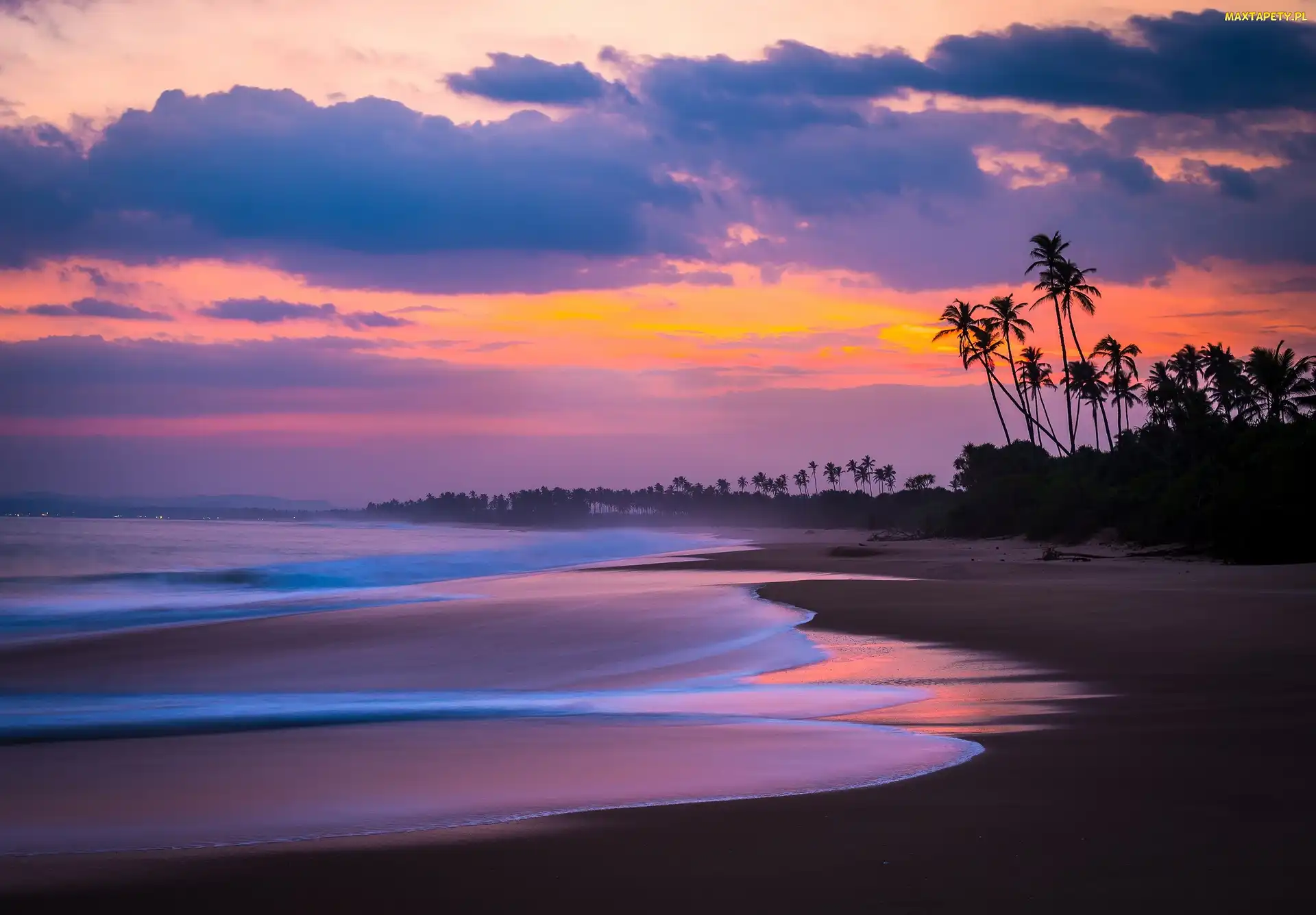 Plaża, Palmy, Zachód Słońca, Ocean, Sri Lanka
