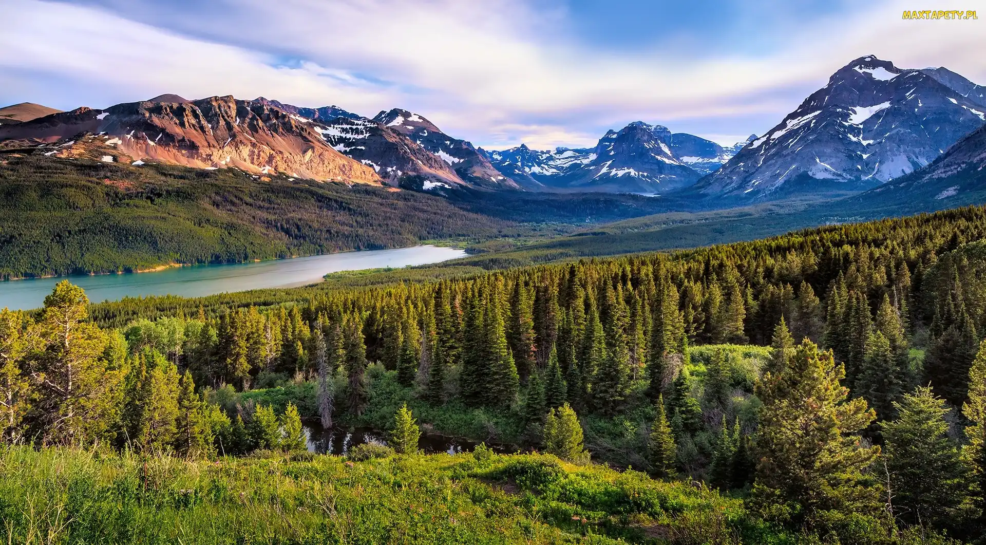 Stany Zjednoczone, Stan Montana, Drzewa, Góry, Jezioro Two Medicine Lake, Park Narodowy Glacier