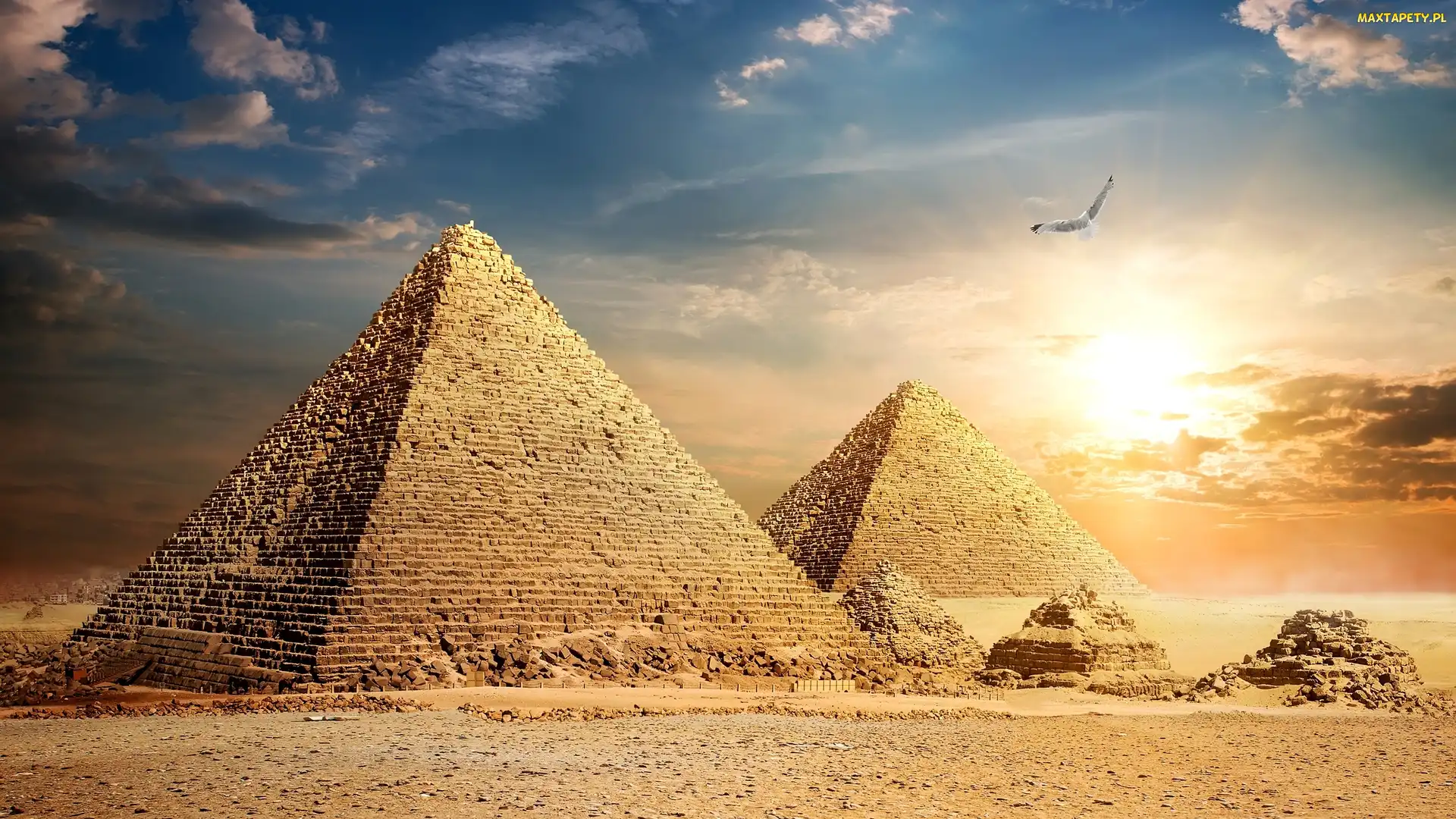 Giza, Ptak, Piramida Cheopsa, Piramidy, Egipt
