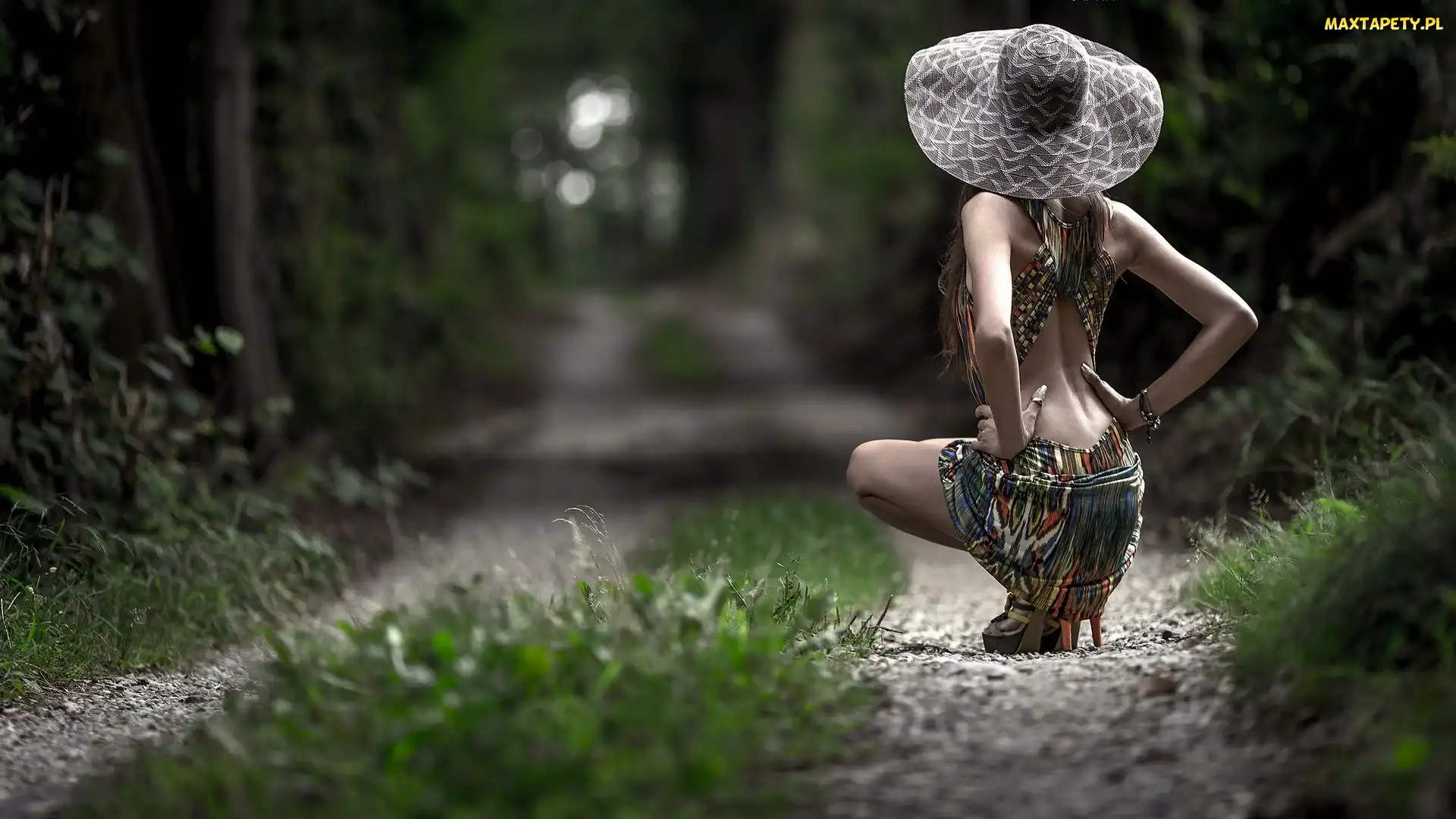 Las, Moda, Figura, Droga, Styl, Kobieta, Kapelusz