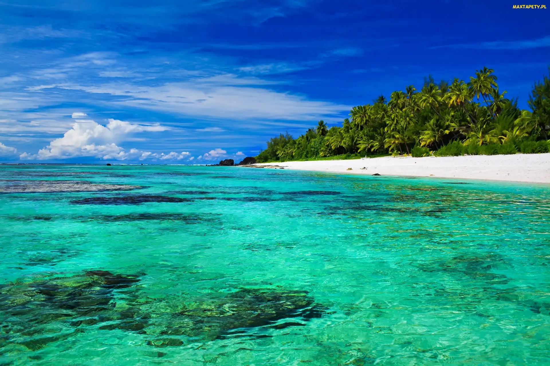 Palmy, Plaża, Atol Aitutaki, Wyspy Cooka, Ocean, Morze