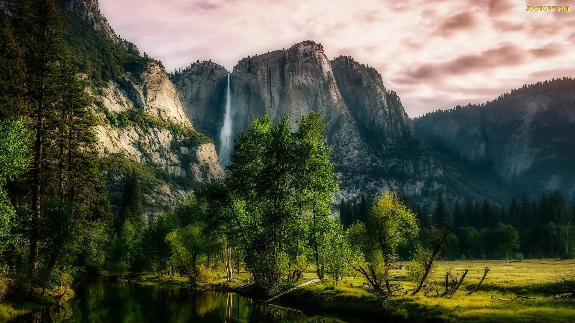 Drzewa, Wodospad Yosemite, Stan Kalifornia, Stany Zjednoczone, Park Narodowy Yosemite, Góry Sierra Nevada
