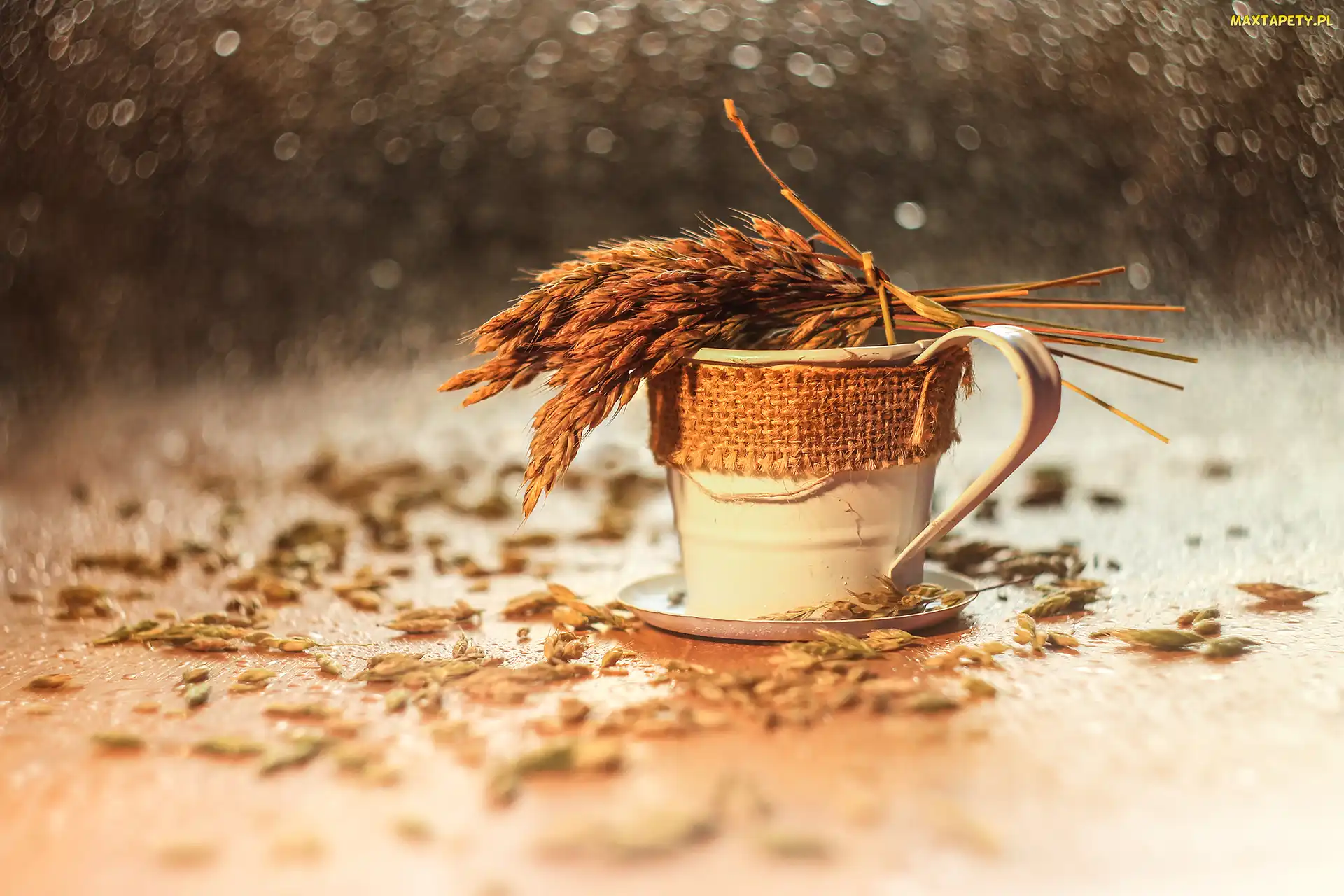 Dekoracja, Bokeh, Filiżanka, Trawa, Biała
