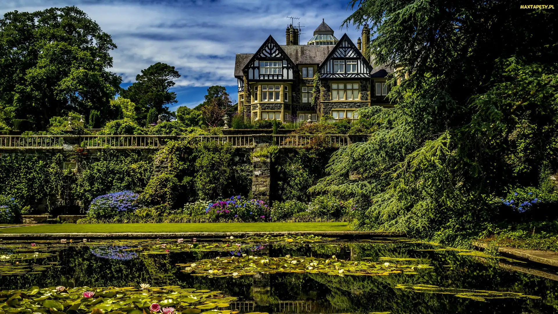 Roślinność, Staw, Ogród Botaniczny Bodnant Garden, Lilie wodne, Bodnant House, Walia, Dom