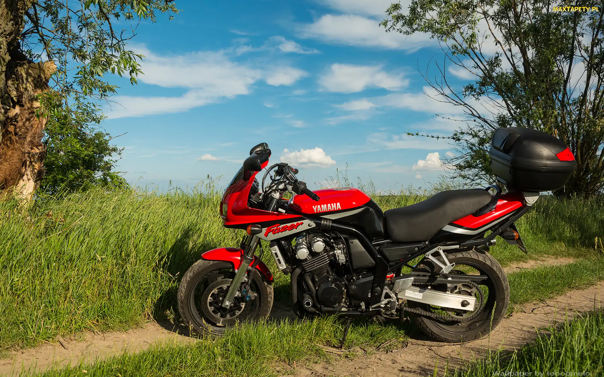 Yamaha FZS600 Fazer, Plener, Motocykl
