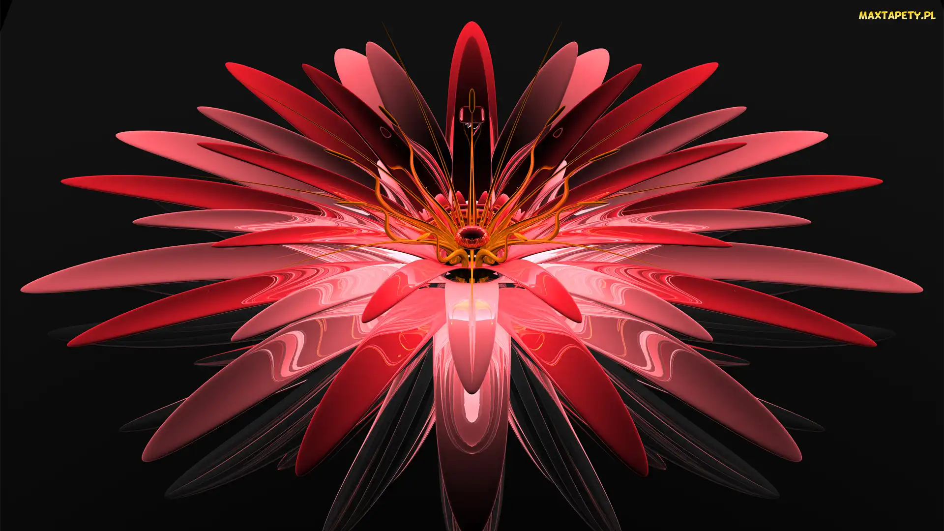 Czerwony, Kwiat, Grafika 3D