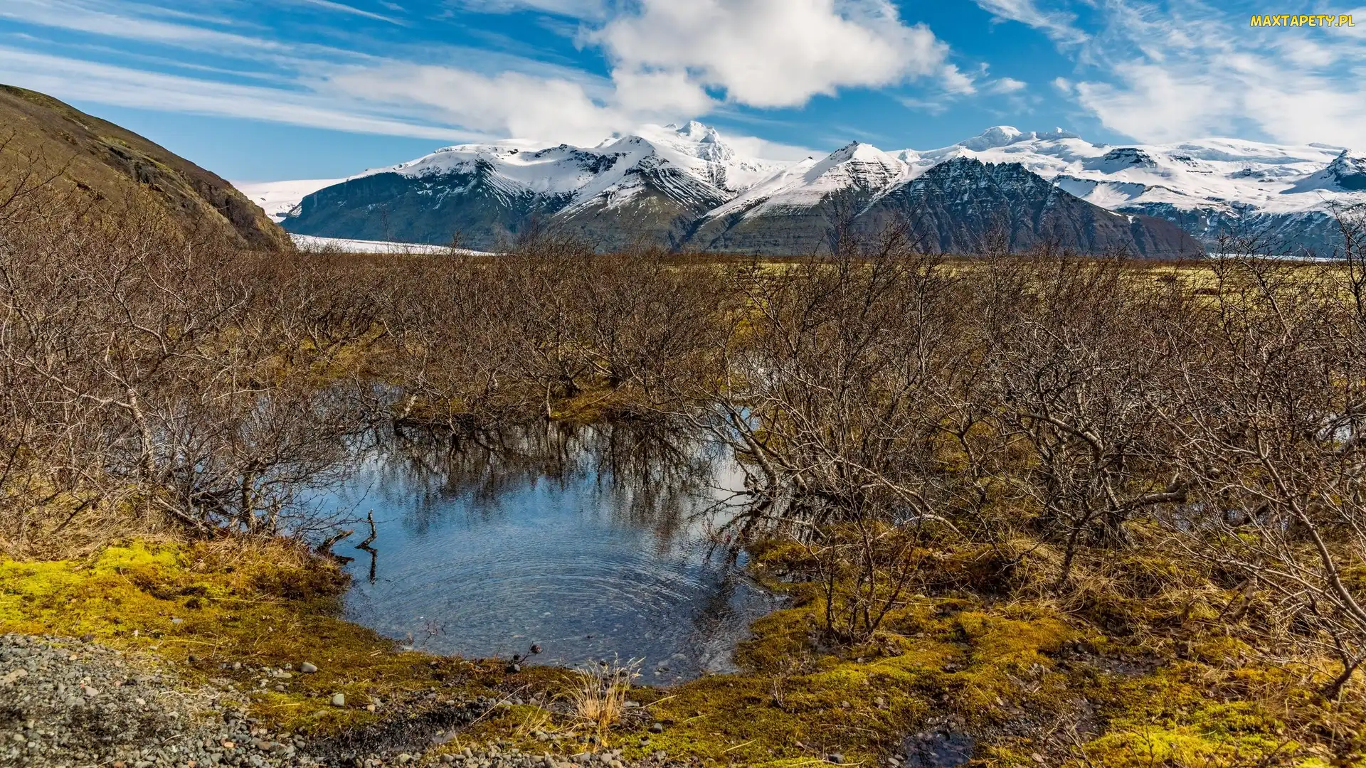 Park Narodowy Vatnajökull, Jezioro, Drzewa, Góry, Islandia