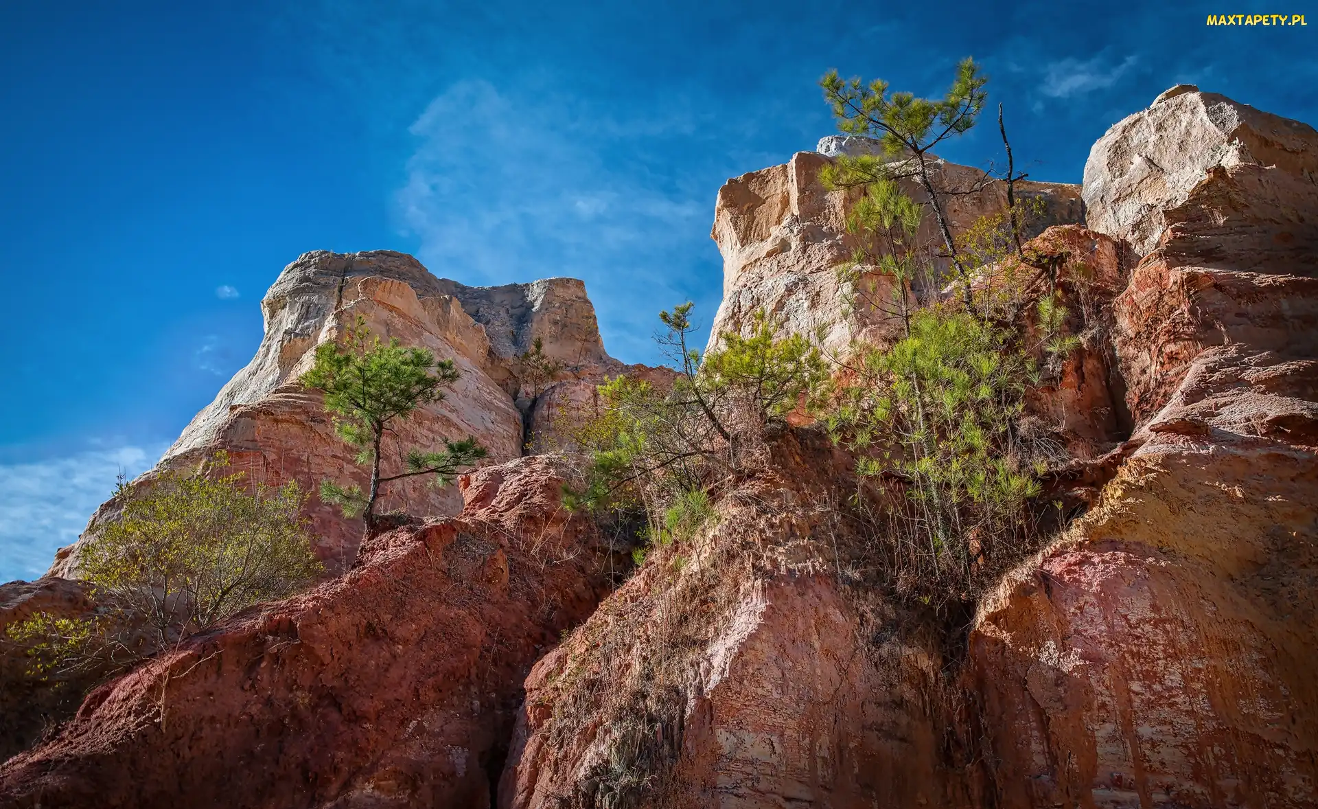 Stan Georgia, Drzewka, Skały, Park stanowy Providence Canyon, Stany Zjednoczone
