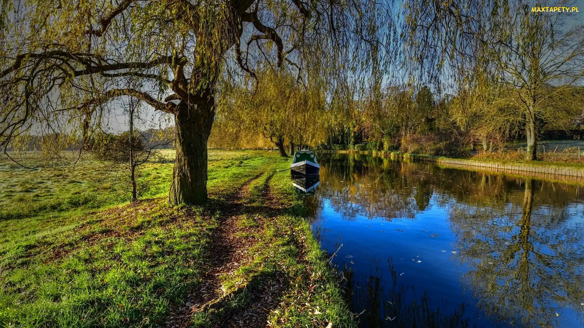 Drzewa, Łódka, Park, Kanał