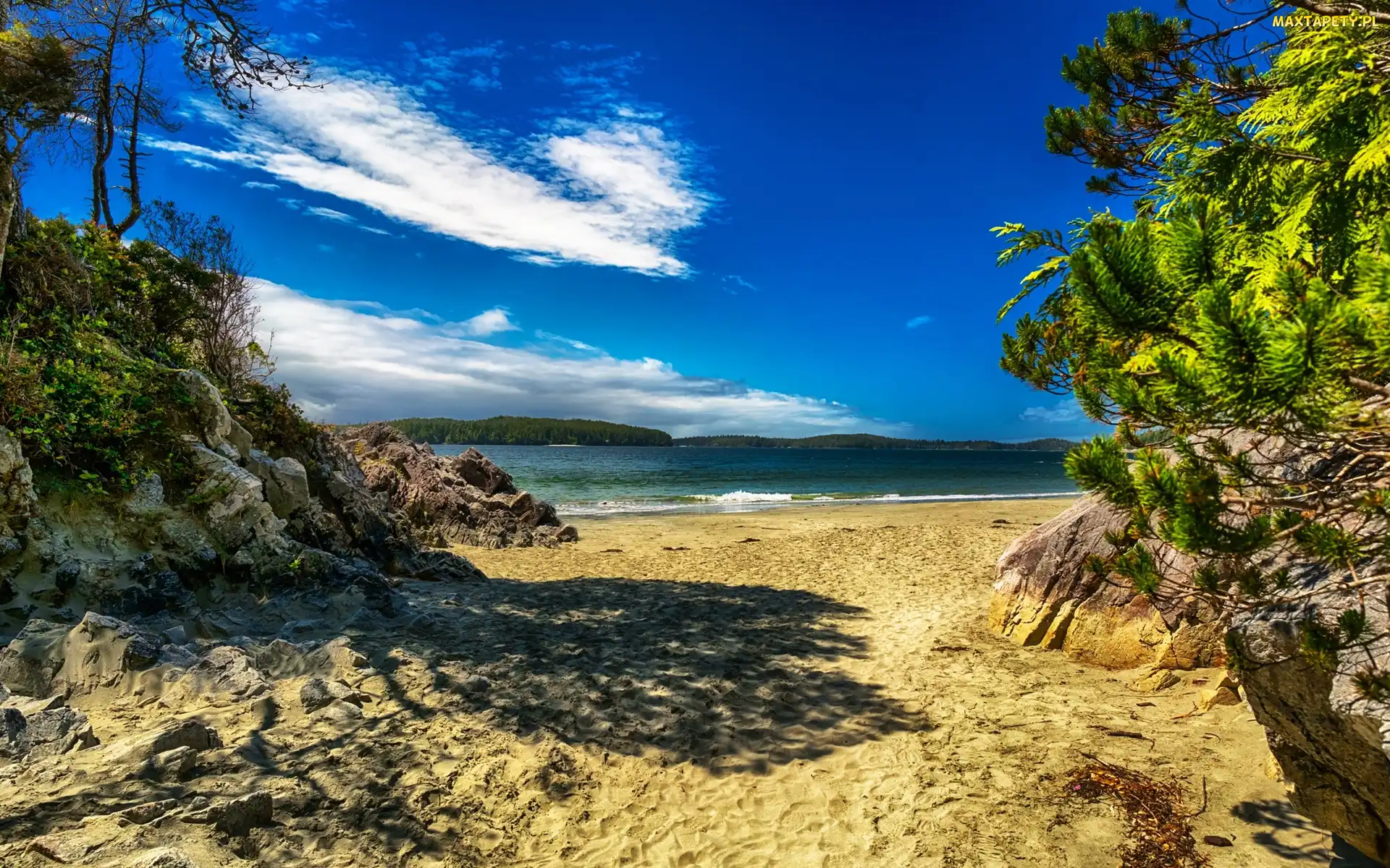 Kolumbia Brytyjska, Kanada, Drzewa, Plaża Tonquin Beach, Morze, Skały, Tonquin Park