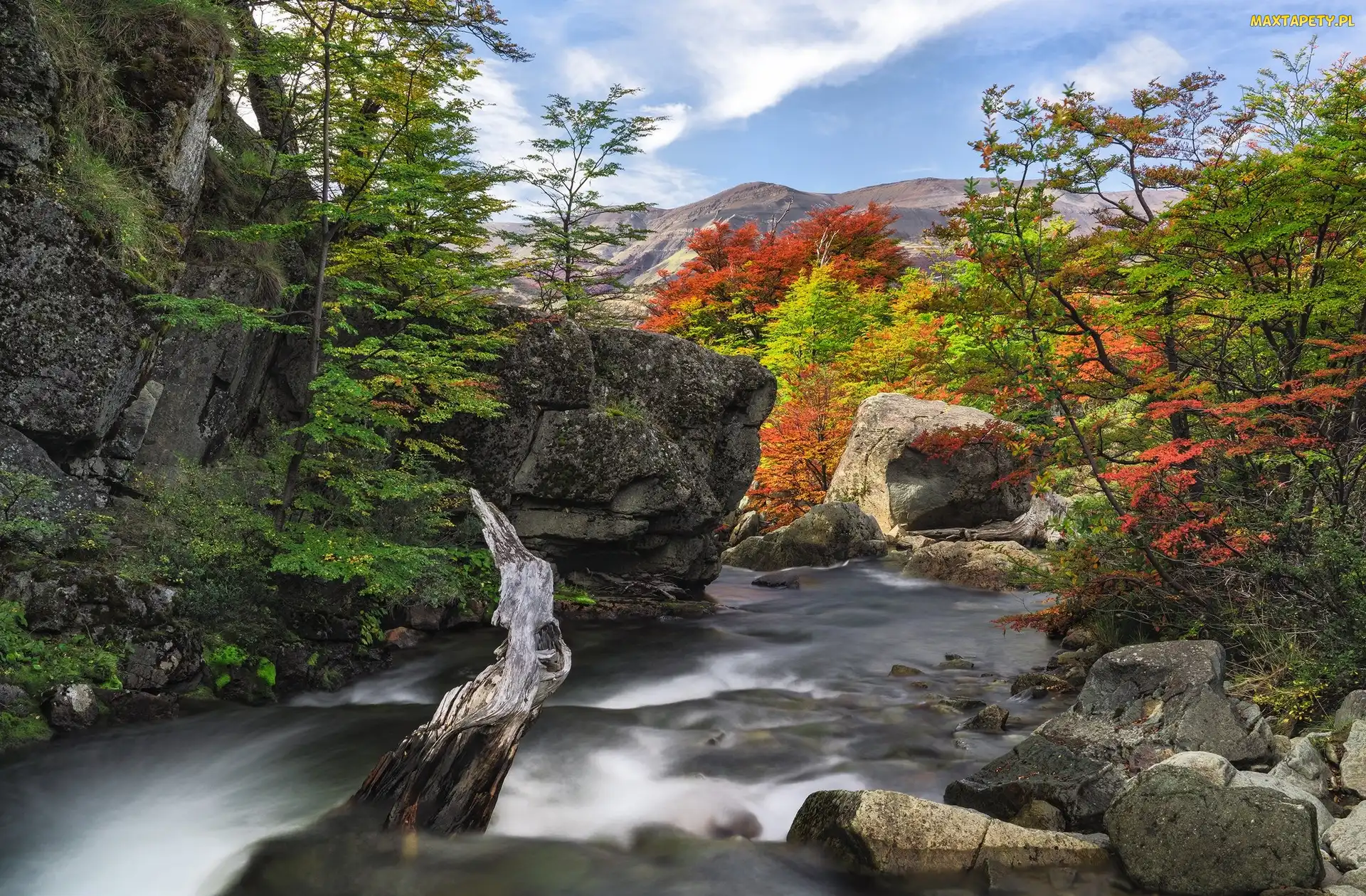 Skały, Góry, Patagonia, Drzewa, Rzeka, Chile, Cascada del Rio Paine