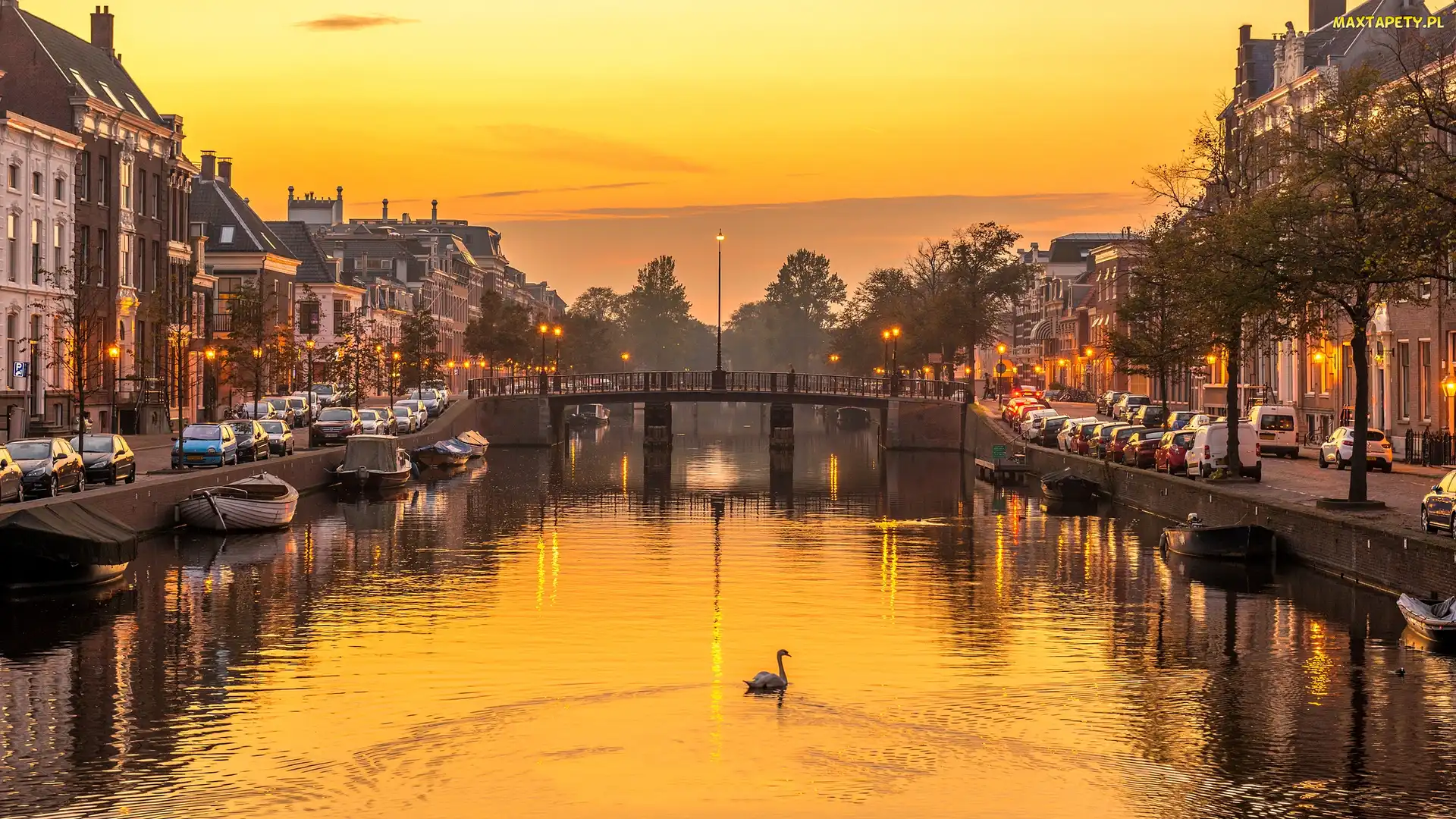 Holandia, Haarlem, Mostek, Kanał Nieuwe Gracht, Domy, Rzeka Spaarne
