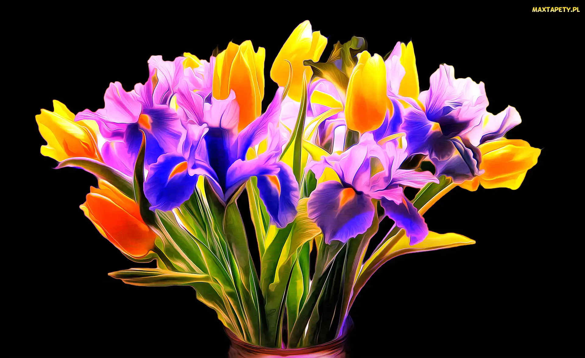 Fractalius, Czarne tło, Irysy, Tulipany, Bukiet kwiatów