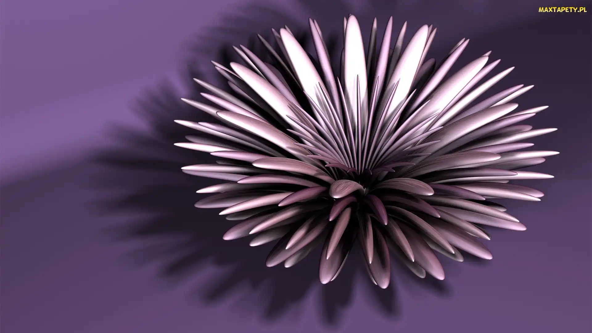 Kwiat, Fioletowe tło, Grafika 3D