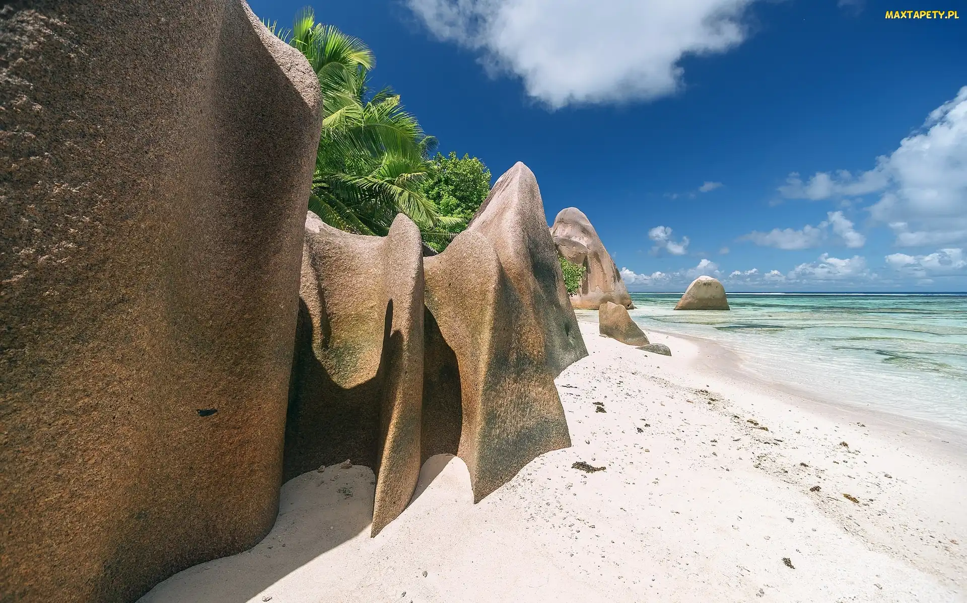 Tropiki, Palmy, Wyspa La Digue, Seszele, Plaża, Skały