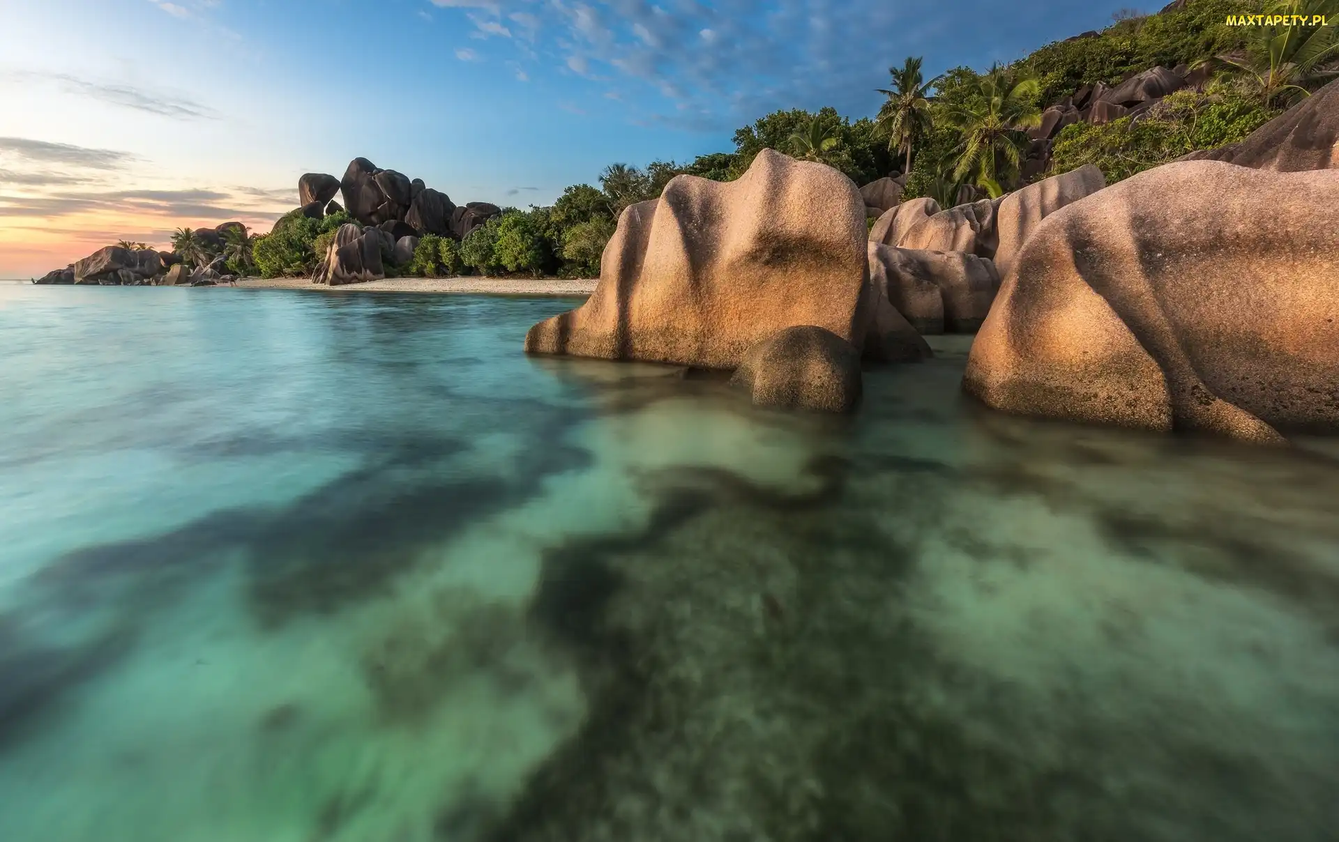 Wyspa La Digue, Palmy, Skały, Ocean, Seszele