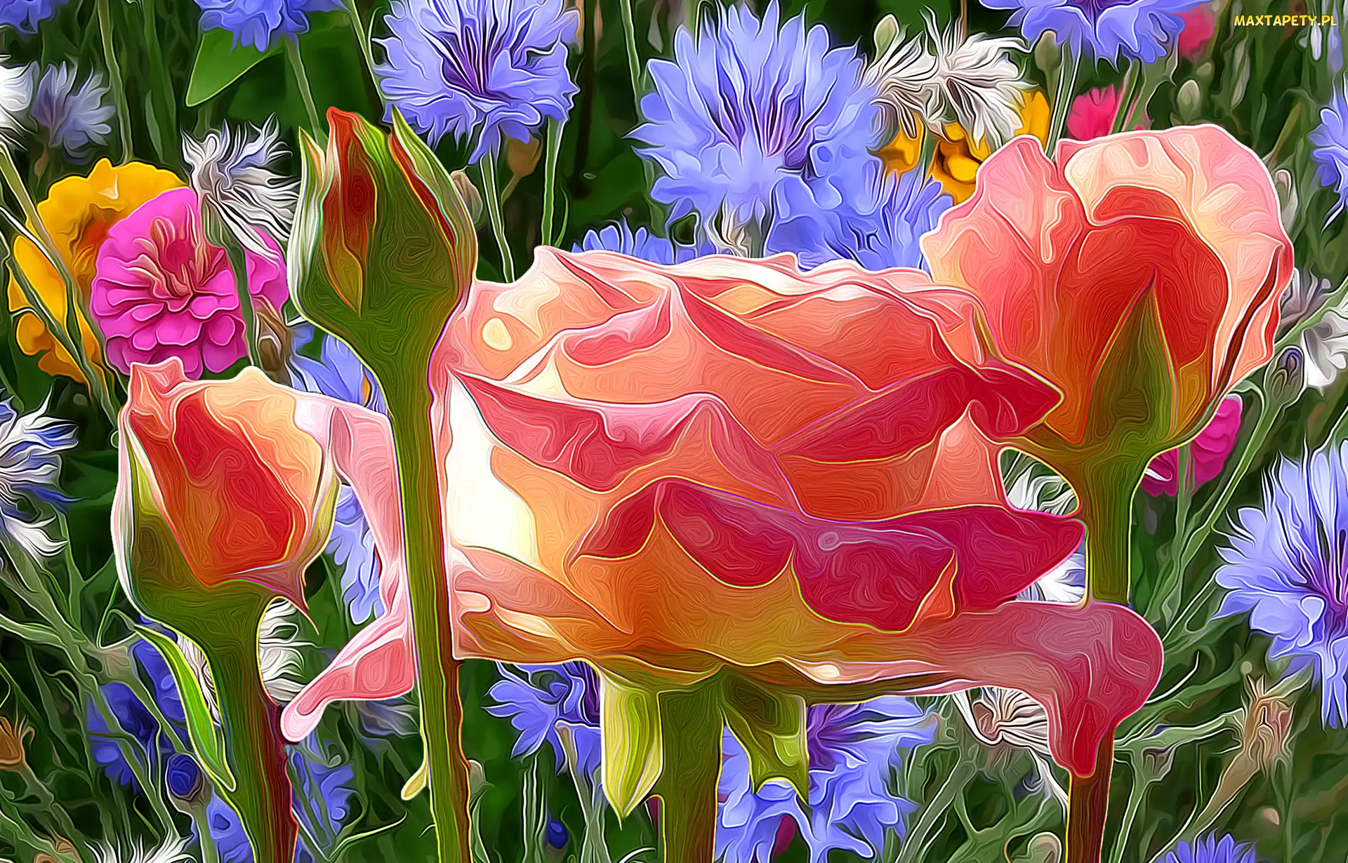 Fractalius, Chabry, Kwiaty, Róże