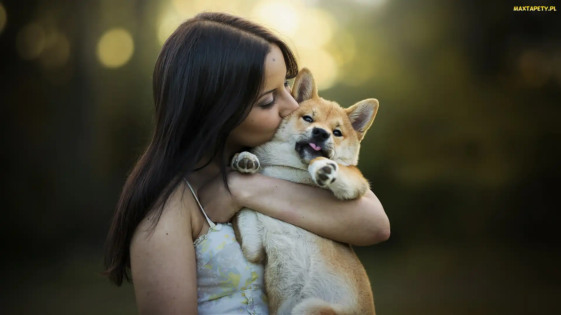 Przyjaciele, Shiba inu, Kobieta, Pies