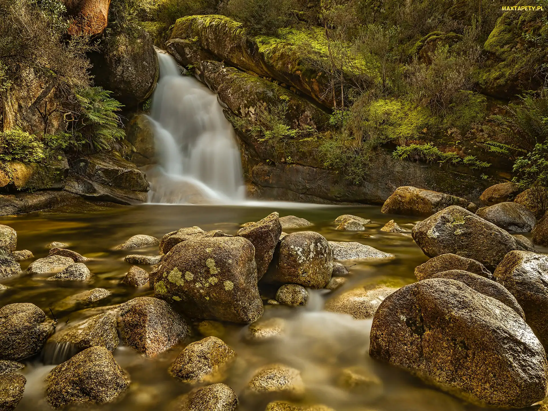 Park Narodowy Mount Buffalo, Kamienie, Jeziorko, Wodospad Ladies Bath Falls, Australia