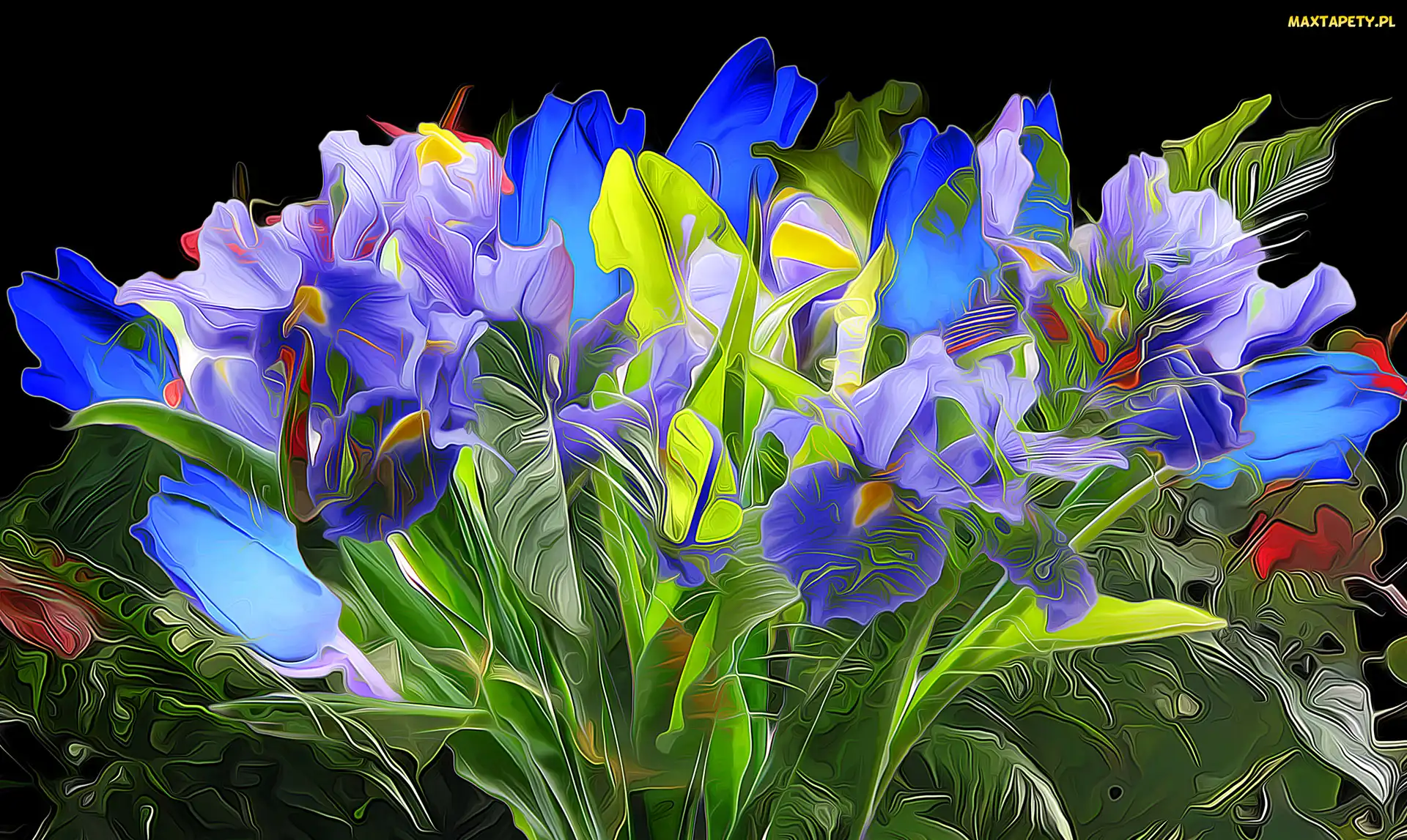 Niebieskie, Fractalius, Kwiaty, Fioletowe